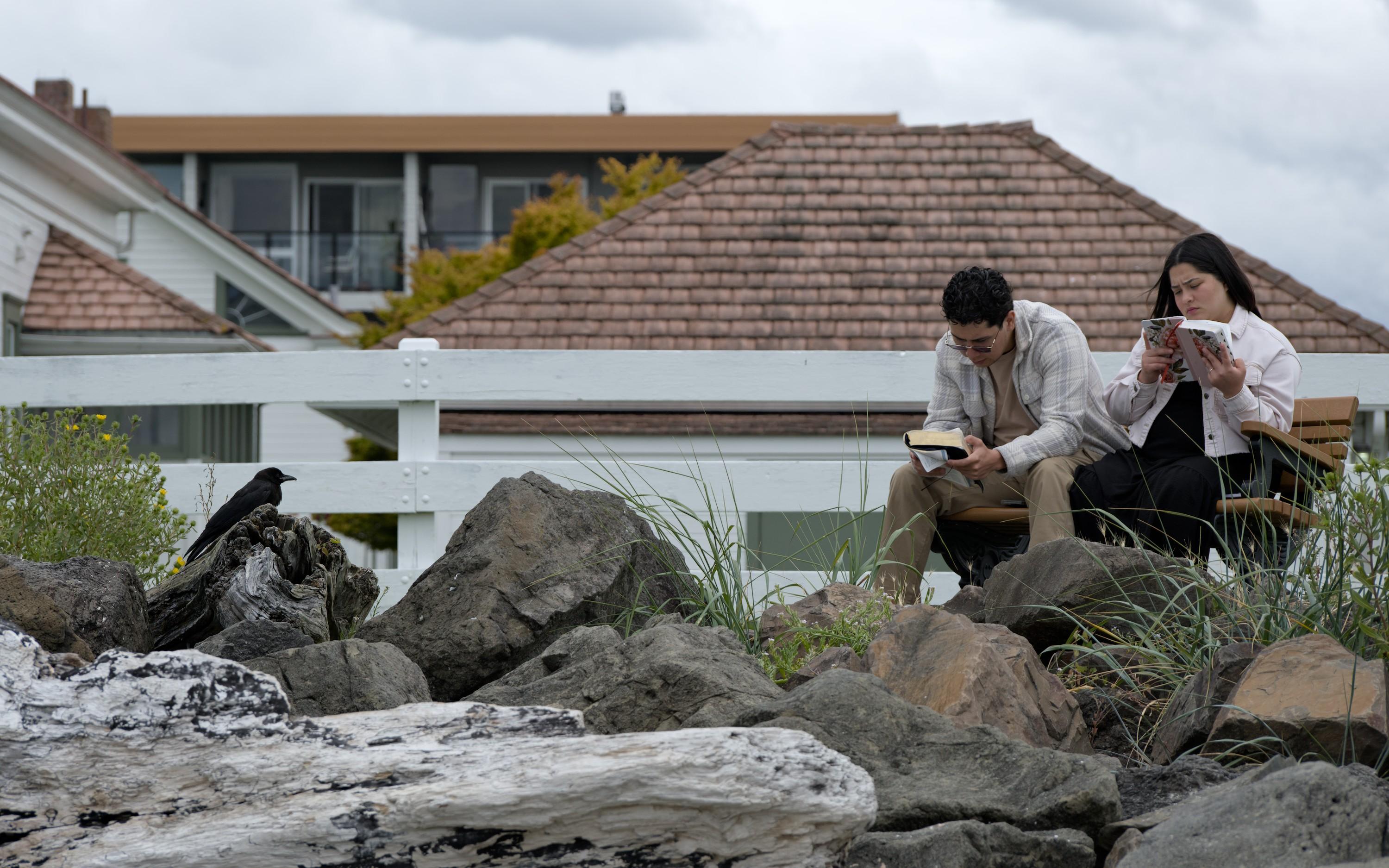 A couple, man and woman, sitts on a bench, both reading their own book. A black crow sits on a boulder nearby, looking at the couple. The foreground is filled with boulders and whitened driftwood, hinting at a beach setting. Background is white buildings with red tiled roofs.