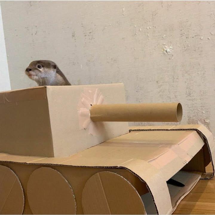 Steve the otter peeks out from the turret of a homemade cardboard tank sitting on a bare indoor floor.