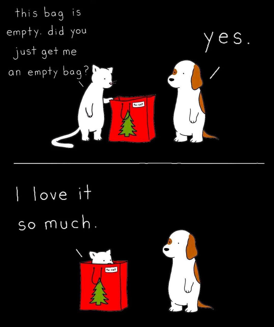 Dog gives cat an empty bag.  Cat loves it.