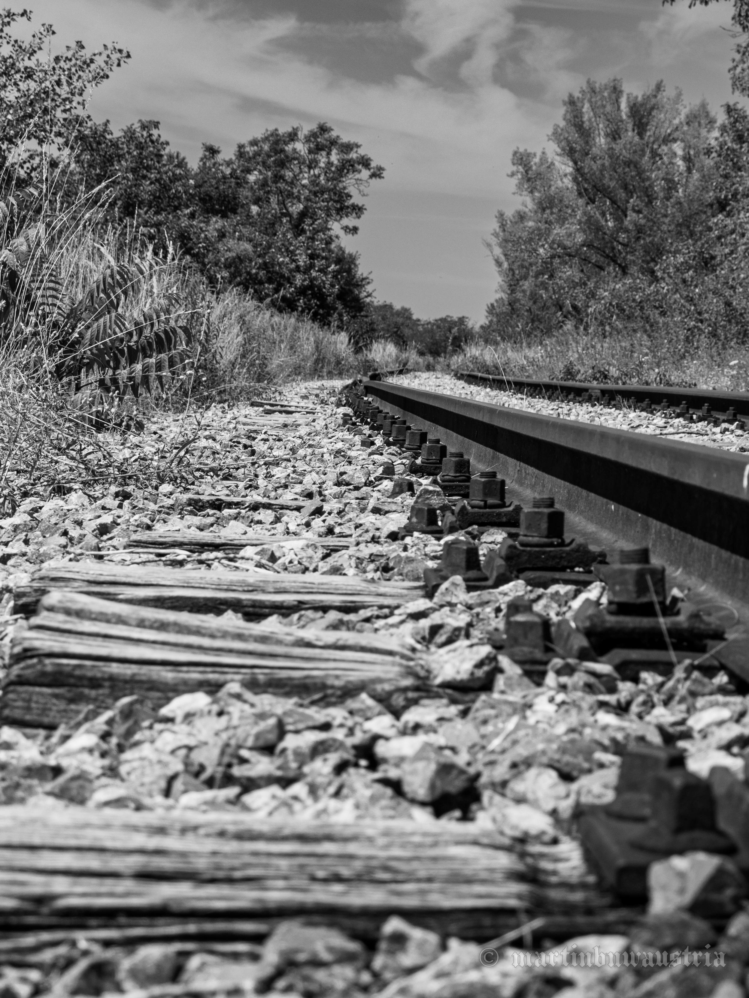 A low angle, black and white photograph of an abandoned railway track curving into the distance.

In the foreground, weathered, rotting wooden ties and rusted rail fastenings are sharply focused among rough ballast stones, while wild grass and trees line the tracks under a cloudy sky.
