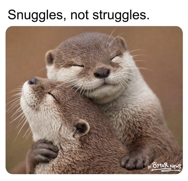 Steve the otter wraps his arms around another otter in a tender close-up wildlife photograph.