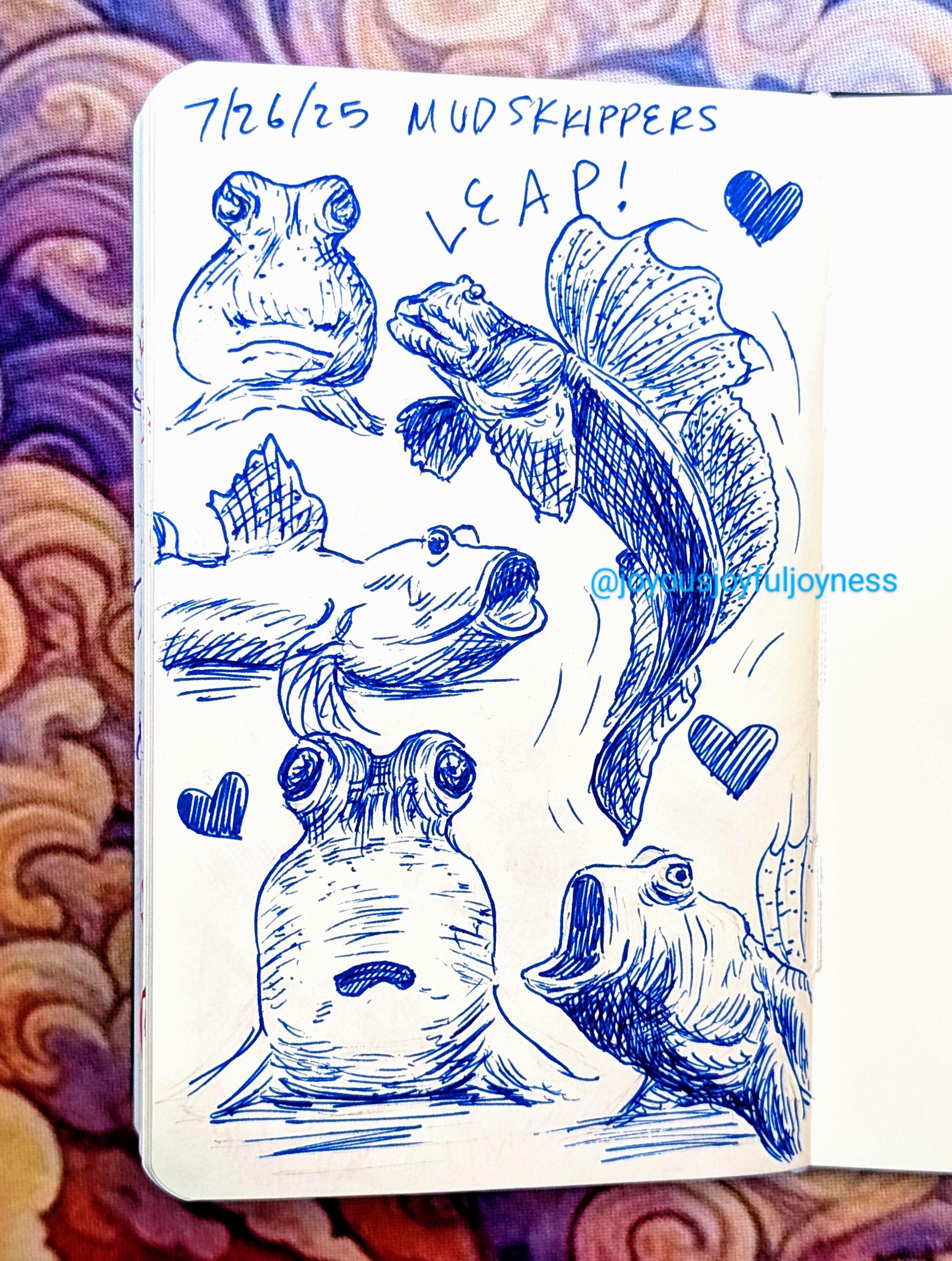 Sketchbook page of 5 drawings of Mudskippers in blue pen. The top of the page has the text 7/26/25 and Mudskippers. The top left drawing is of a frowny fish. To the right is a fish leaping and a heart, with the word Leap! To the left is a fish in profile looking to the right with its mouth open. At the bottom left is a heart and a derpy fish with its mouth slightly open. At the bottom right is a fish in profile with its mouth open looking to the left.