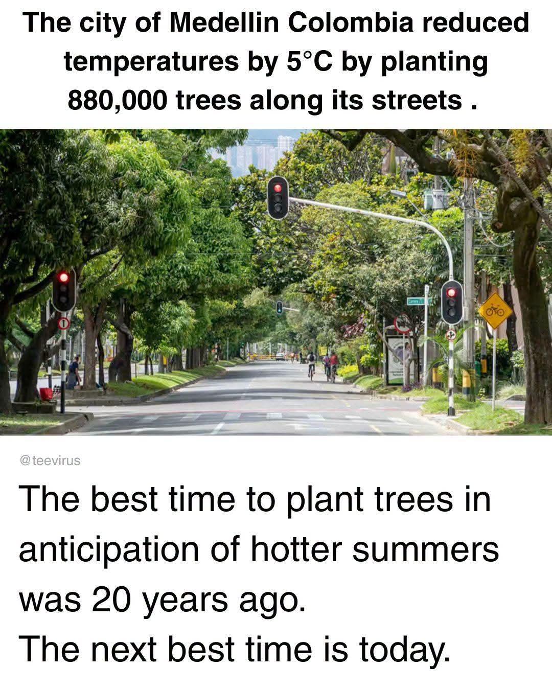 The city of Medellin Colombia reduced temperatures by 5°C by planting 880,000 trees along its streets.

@teevirus

The best time to plant trees in anticipation of hotter summers was 20 years ago.

The next best time is today.
