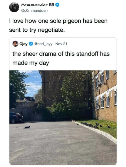 Posted media