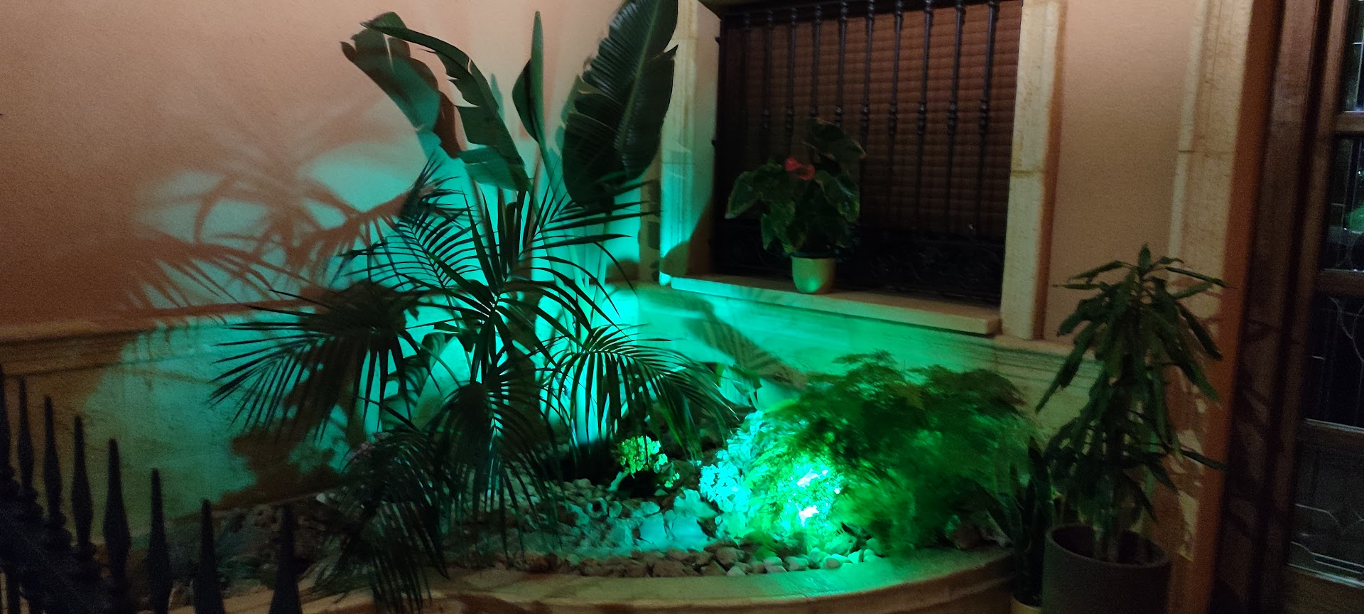 Ein kleiner Vorgarten mit Palme. Es leuchtet hinter den Pflanzen und so in etwa stelle ich mir vor, wie ein vergessener Handfeger mit Glow-In-The-Dark Bestückung aussehen könne, wenn es dunkel wird