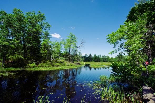 Pretty lake scene where bay opens up.