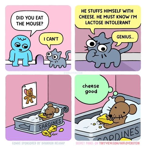 Media