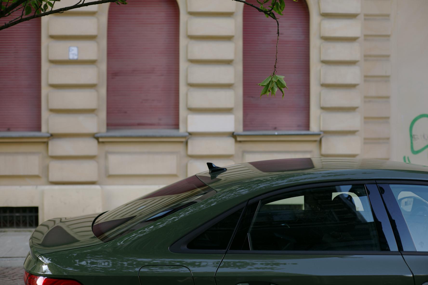 Głównym motywem tej fotografii jest kępka liści zwisająca z gałęzi nad ciemnozielonym samochodem, którego tylko część jest na zdjęciu. W tle widać różowo-morelową fasadę kamienicy.