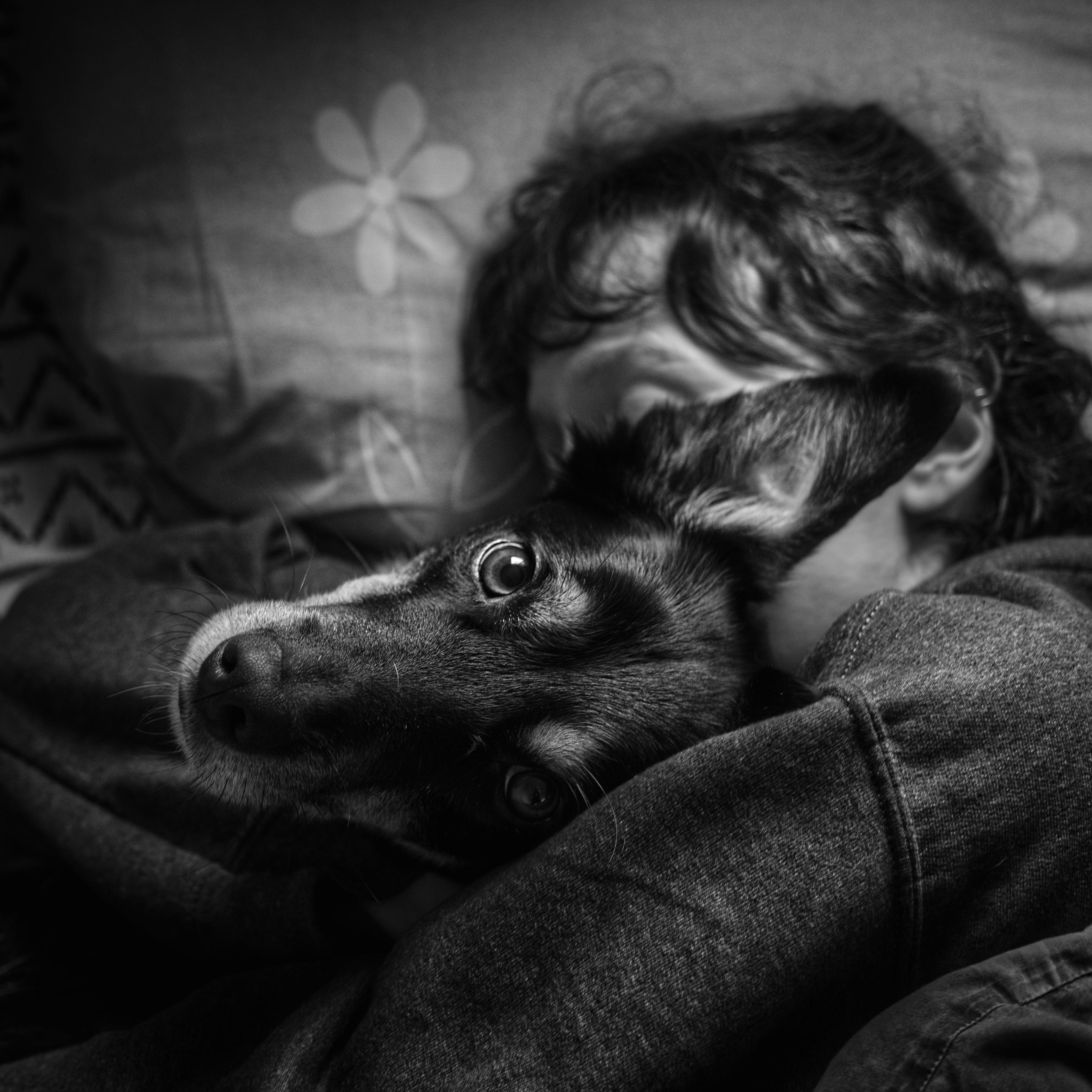 Photo en noir et blanc prise au dessus d'un chien levant la tête vers l'objectif, il est allongé dans un lit près d'une personne dont le visage est caché par son oreille