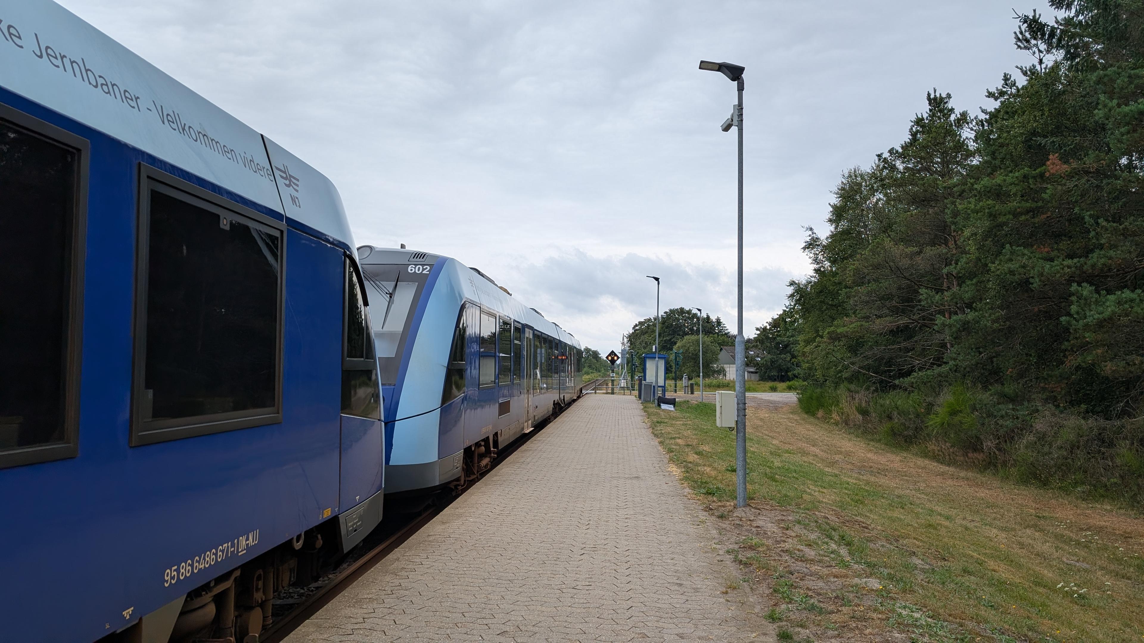 Two coupled NJ LINT 41 DMU arriving at a small platform, trees along the platform, grey cloud ceiling