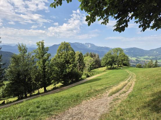 This image captures a breathtaking and idyllic countryside landscape, evoking a sense of peace, natural beauty, and adventure. A winding dirt path cuts through a lush, green meadow, inviting the viewer to imagine a leisurely walk or hike. The path is flanked by vibrant grass and scattered wildflowers, adding texture and color to the scene.
On either side of the path, tall trees with dense canopies create a natural tunnel, their leaves a mix of vibrant greens. The trees cast gentle shadows on th…