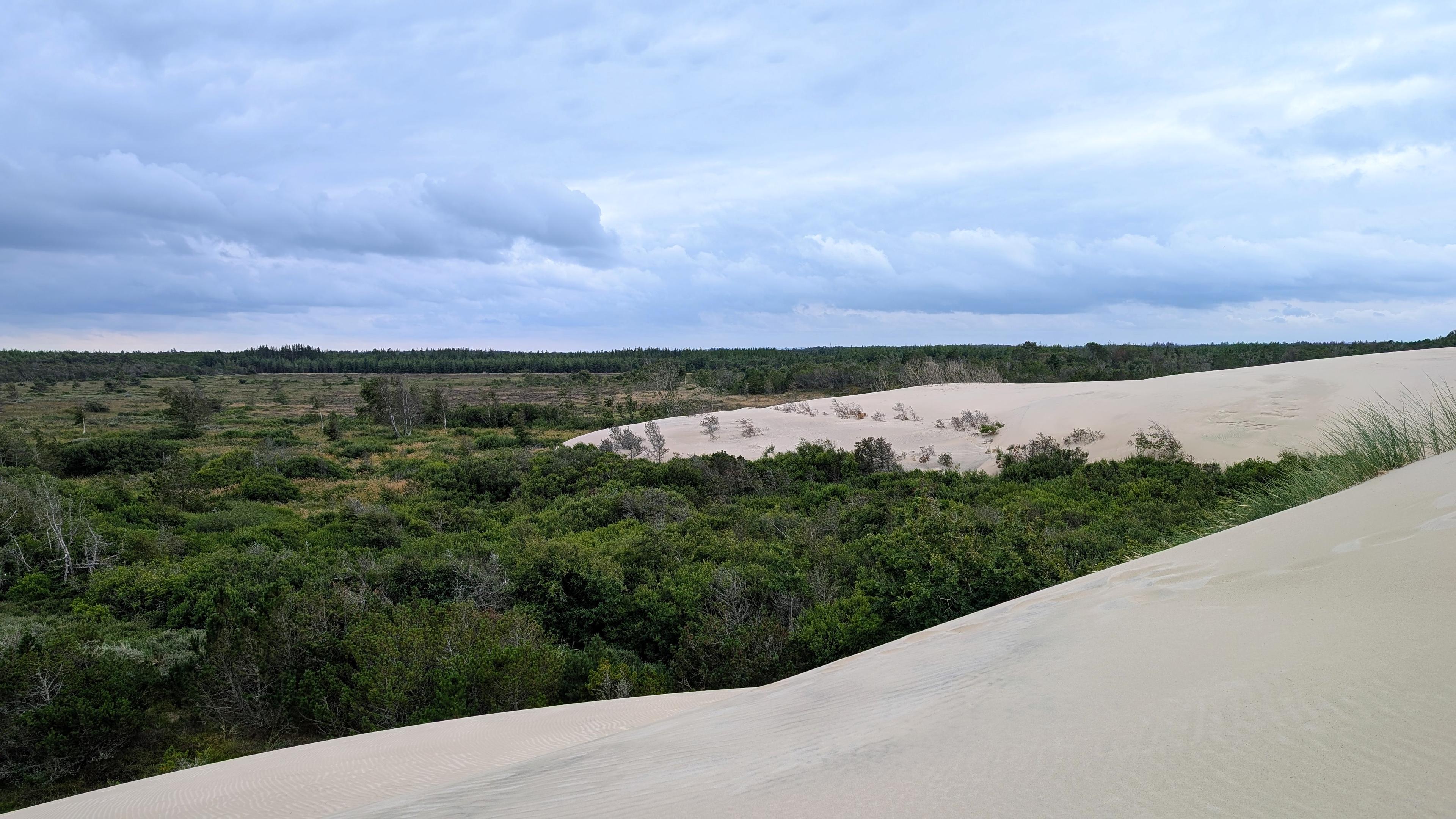 Foot of a sand dune covering bushes, marshland and trees in the background