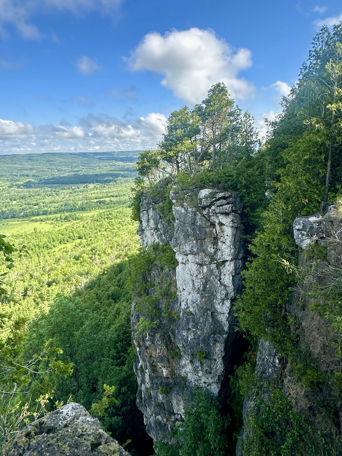 Annabel dolostone cliff overlooking the Beaver Valley. A fractured free standing pillar tilts away from the cliff’s solid face. Light grey rock, and trees cling tightly on top of it. Beyond it lies an expansive view of the lush green valley.