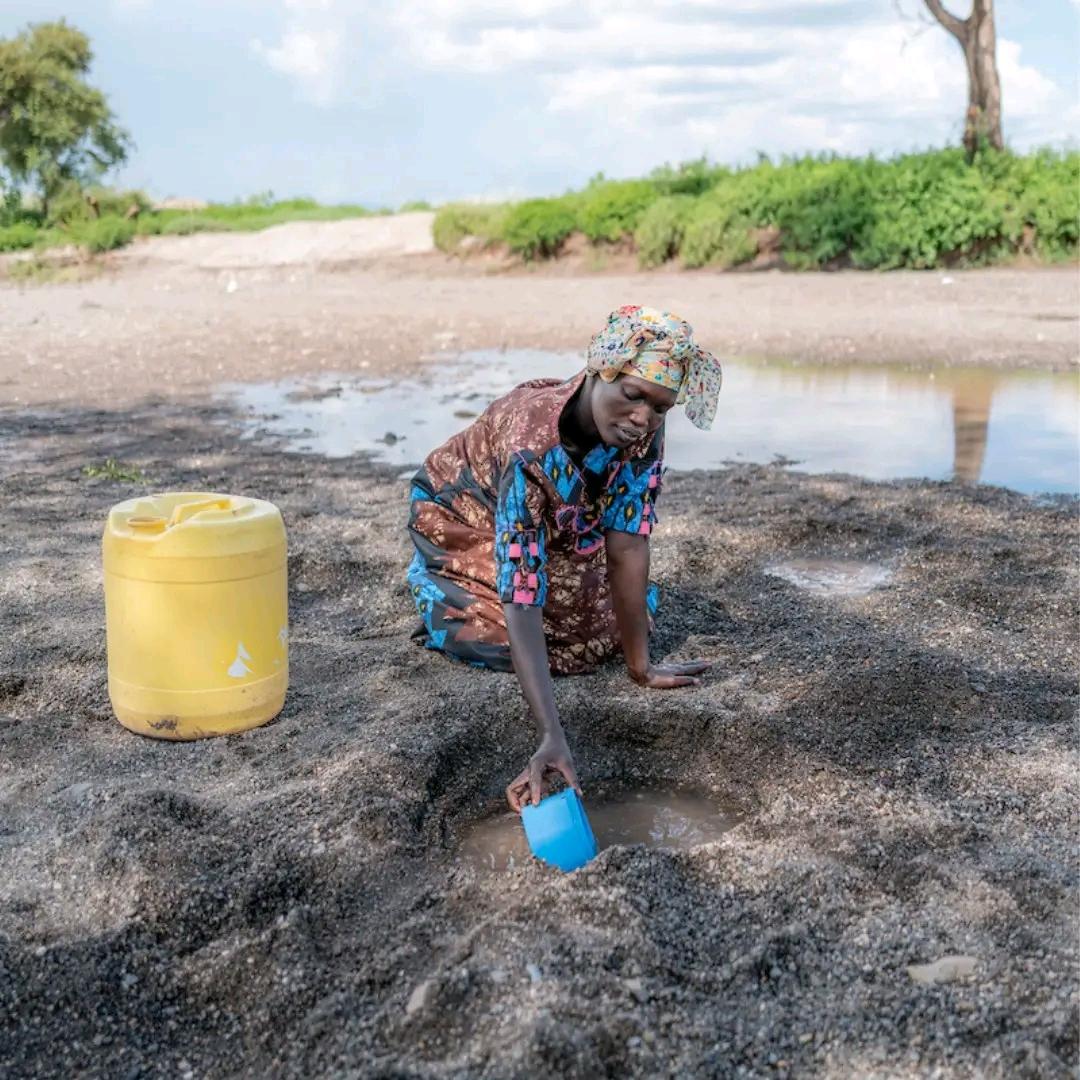 🚨 EMERGENCY: WE CANNOT STAY SILENT. Yesterday we found two children collecting dirty water from a muddy hole. We hoped it was an isolated case. This morning, in the same community but a different location, we found another woman desperately searching for unsafe water. 💔 This is a humanitarian crisis. Please help us provide clean water and hope. Every donation and share can save lives. Donate: https://gofund.me/e9243328d⁠� 💧🙏
#MastodonFamily
