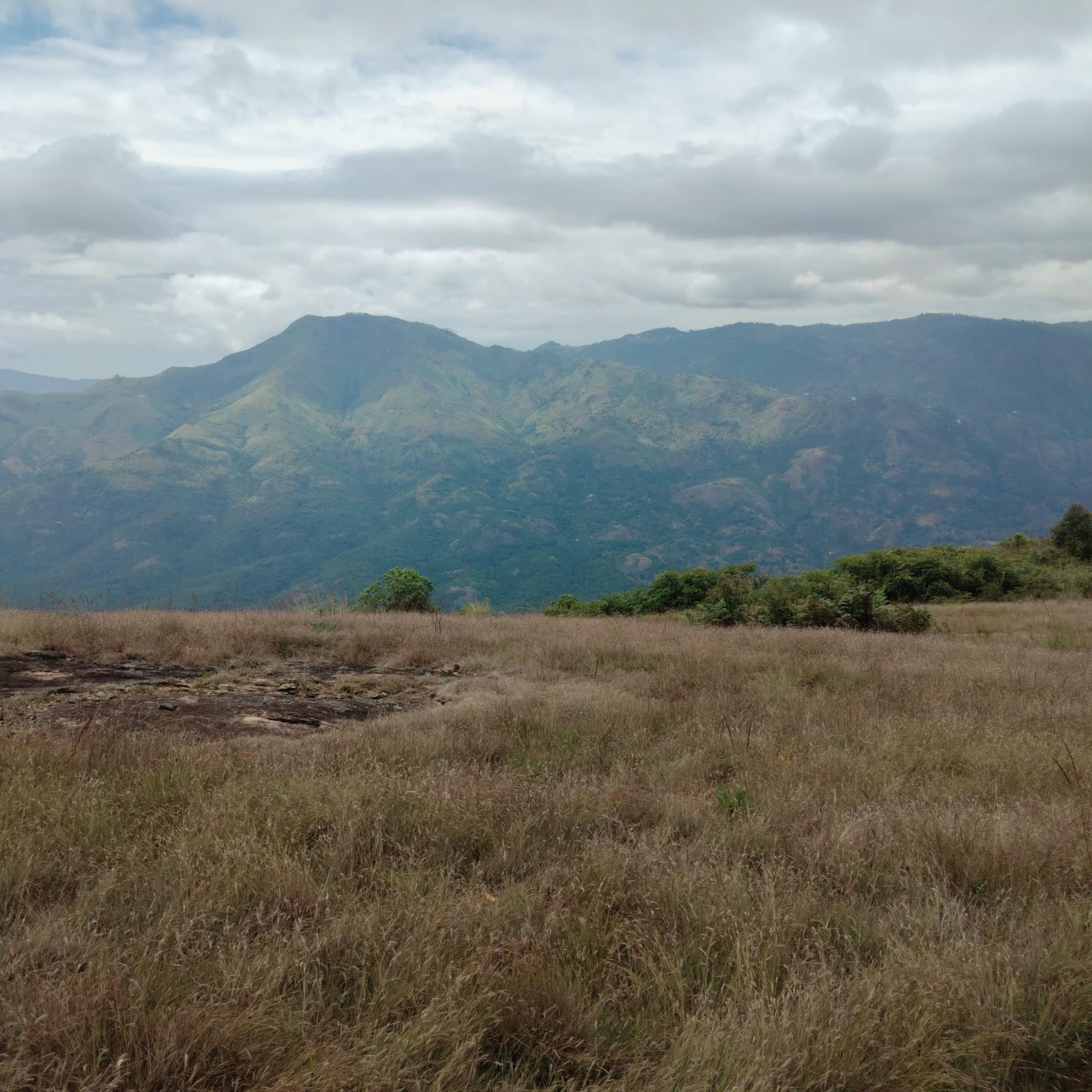 A dry grassy field in the foreground leading to a range of green mountains under a cloudy sky.