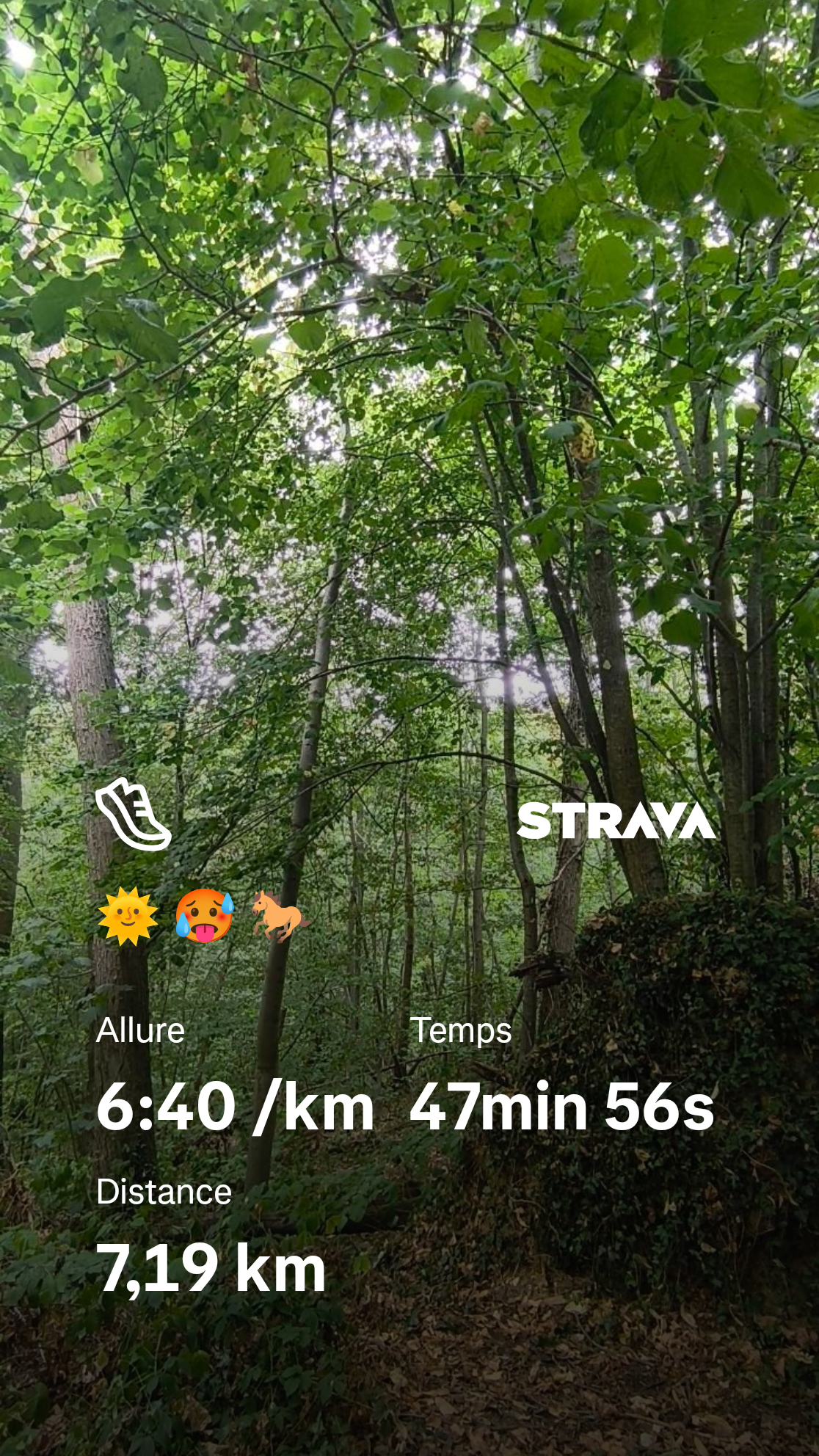 Capture d'écran Strava d'une sortie en forêt. En arrière-plan, une canopée très dense laisse filtrer la lumière entre les feuilles. Les statistiques indiquent une distance de 7,19 km parcourue en 47 min 56 s, à une allure moyenne de 6 min 40 s par kilomètre. Trois émojis — soleil, visage en sueur et cheval — résument la sortie.