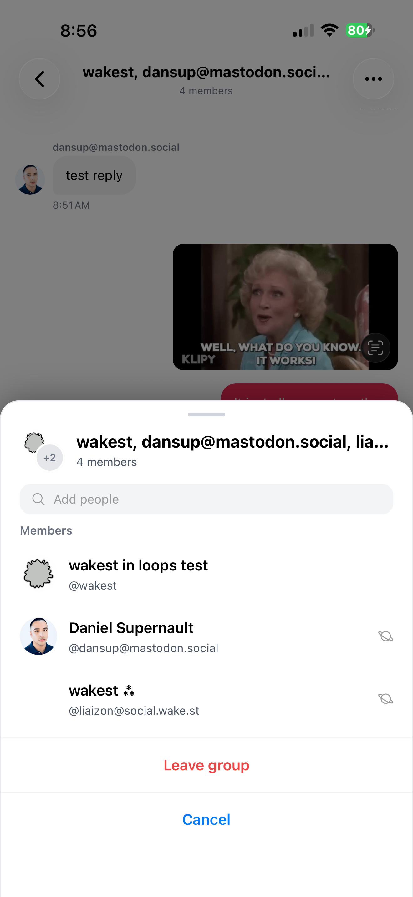 Loops mobile app group chat
