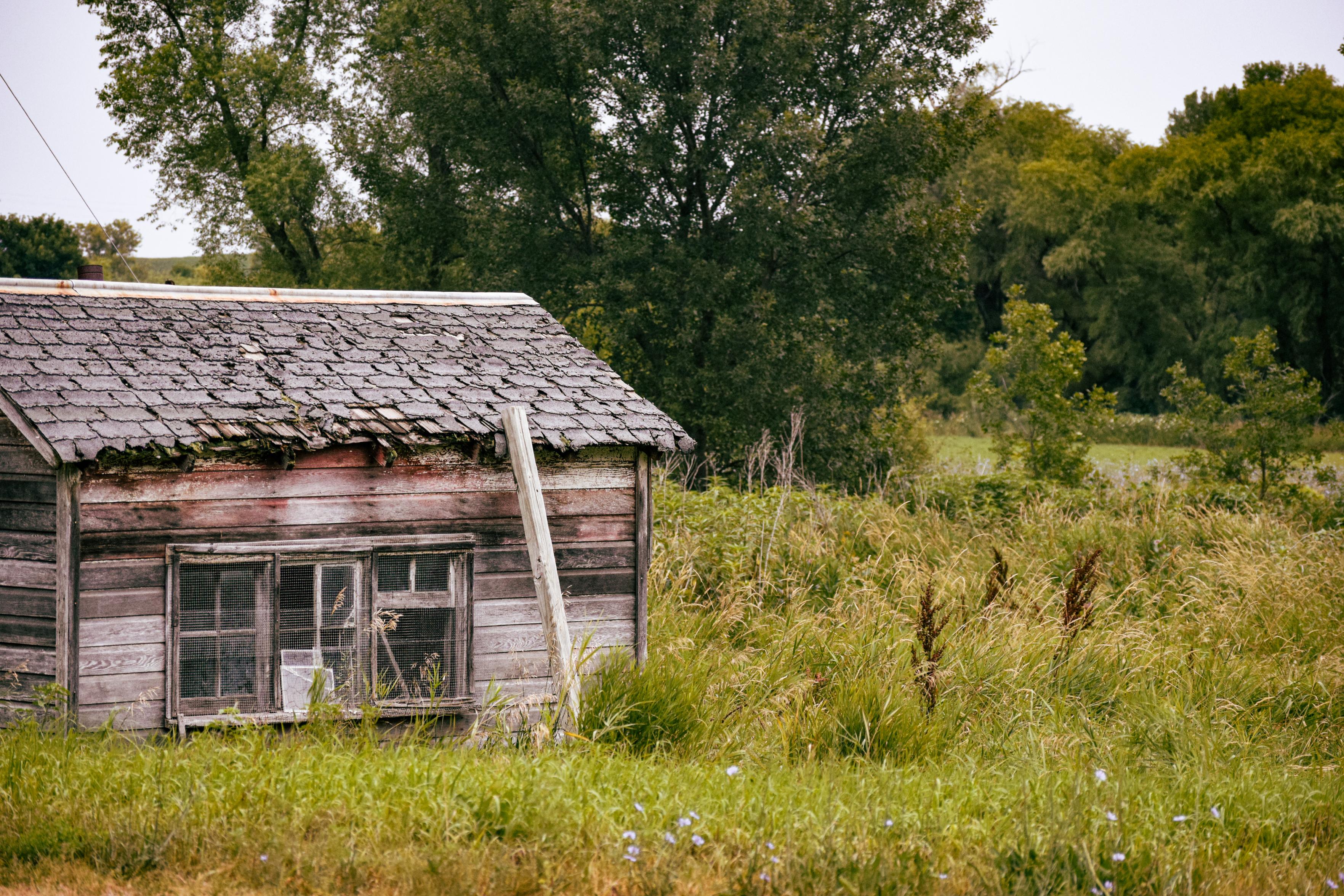 An old, weathered wooden shed with a damaged roof stands amid overgrown grass and wildflowers. Tall trees in the background give a sense of rustic decay.