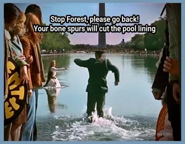 Stop Forest, please go back
Your bone spurs will cut the pool lining

An image from the movie, Forest Gump, running in the defecting pool to get Jenny