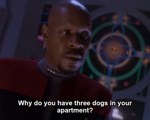 Benjamin:  Why do you have three dogs in your apartment?