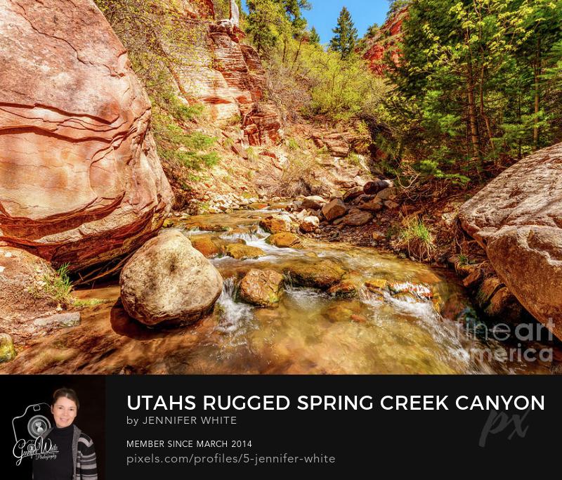Clear spring water winds its way through the narrow sandstone walls of Spring Creek Canyon along the Kanarra Falls Trail in Kanarraville, Utah.
https://5-jennifer-white.pixels.com/featured/utahs-rugged-spring-creek-canyon-jennifer-white.html
@fineartamerica 
#buyintoart #photography #landscape #interiordesign