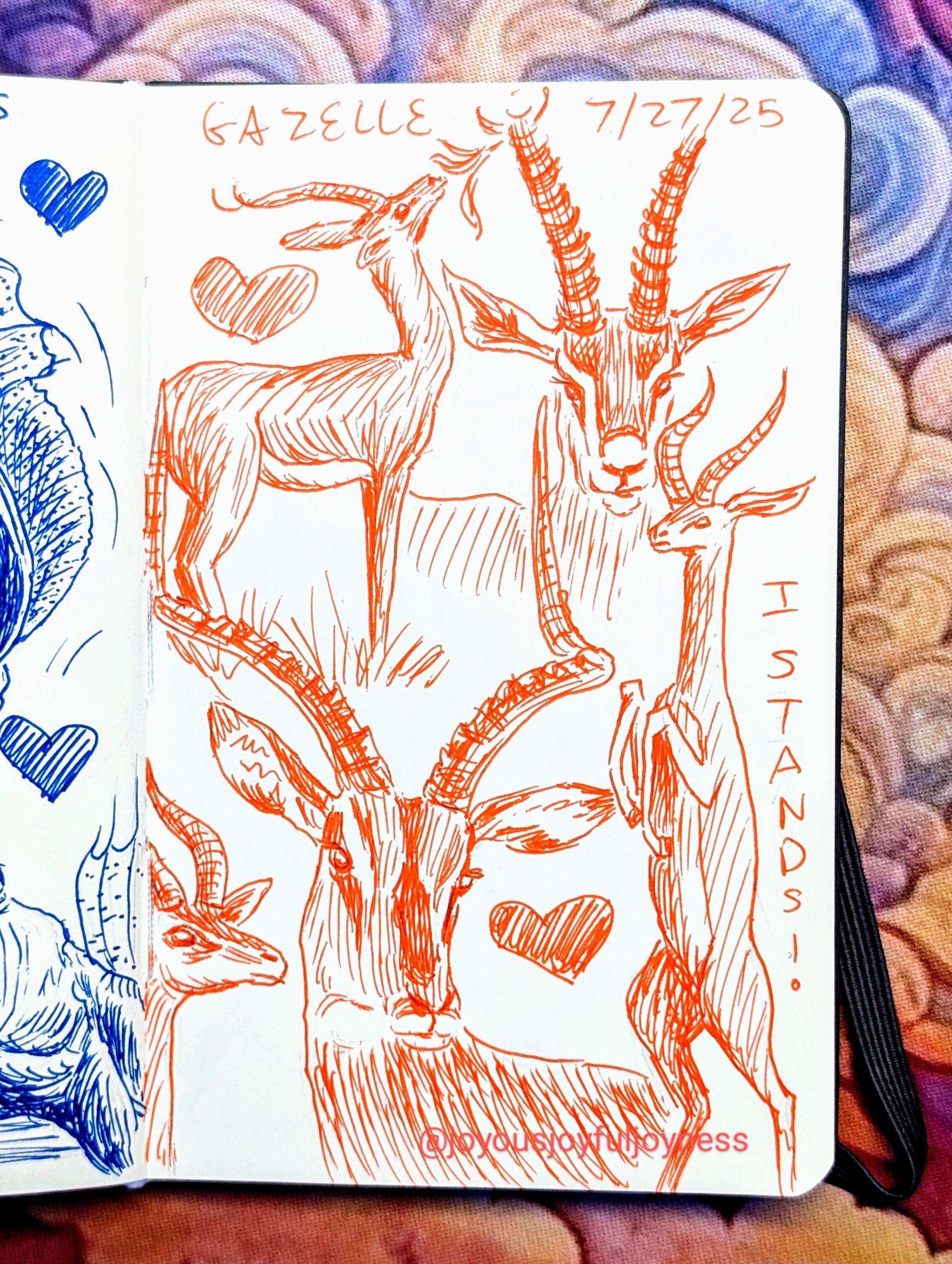 Sketchbook page of 5 drawings of gazelle in orange pen. The top of the page has the text Gazelle and 7/27/25. The top left is a gazelle in profile with a heart and it is raising its head to eat leaves. To the right is a gazelle looking straight at the viewer. At the bottom left is a gazelle in profile looking to the right, just the head and neck. To the right is a large drawing of a gazelle's head and a heart to the right. At the bottom right is a standing gazelle with the words I Stands!