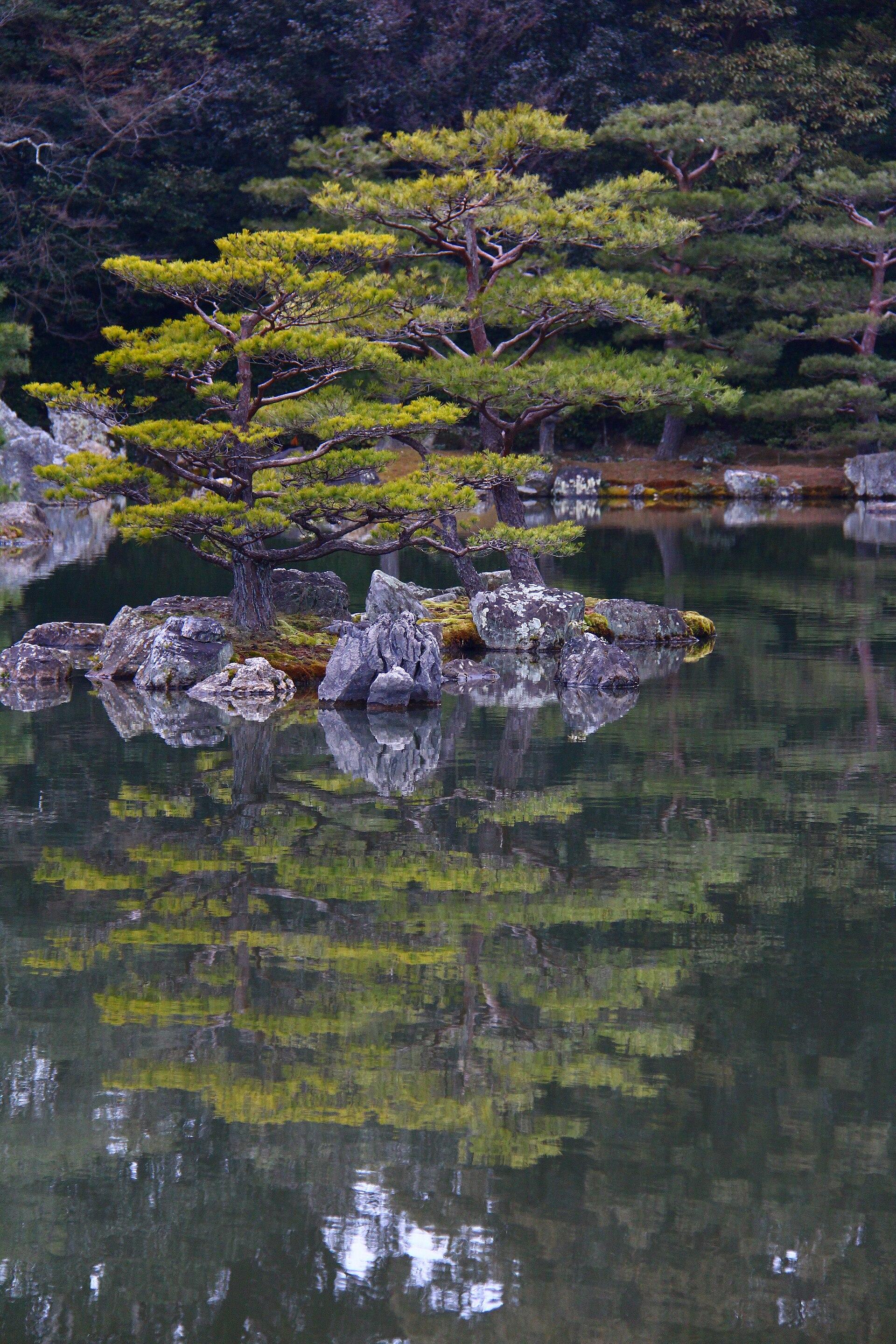 Pines reflected in Kinkaku-ji's 'Mirror Pond' (Kyoko-chi).