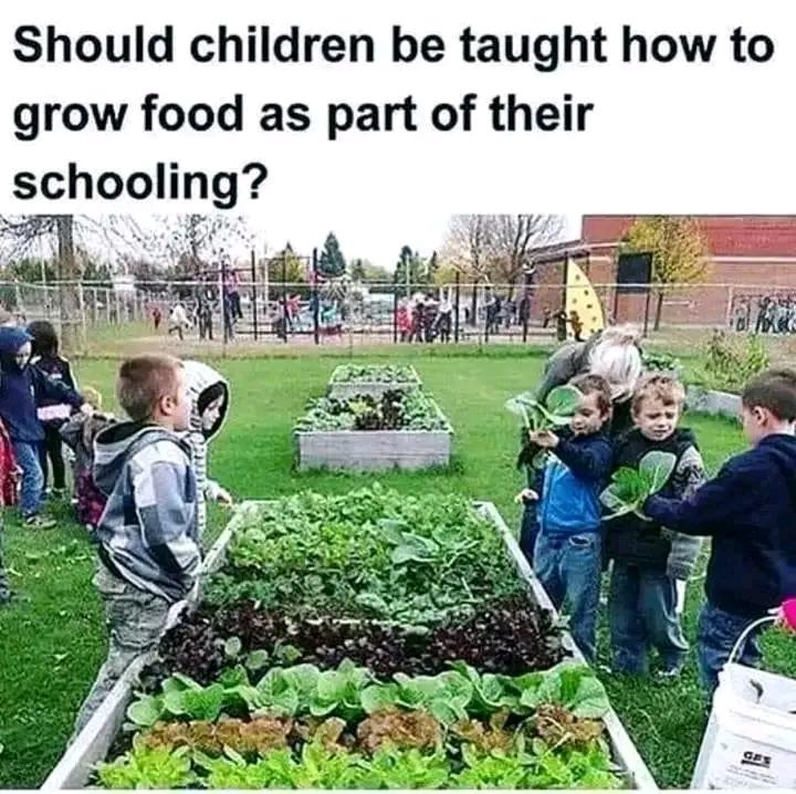 We've come so far together! 💚 We have already raised €2,000 toward securing a permanent home for our environmental education project. Only €1,500 remains. If just 30 kind people gave €50 each, we could reach our goal and begin using the land. Every €50 brings us one step closer to empowering young people, protecting nature, and creating lasting change. Will you be one of the 30? Thank you for believing in our mission. 🌍
#MastodonFamily