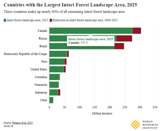 Countries with the Largest Intact Forest Landscape Area, 2025
These countries make up nearly 90% of all remaining intact forest landscape area
