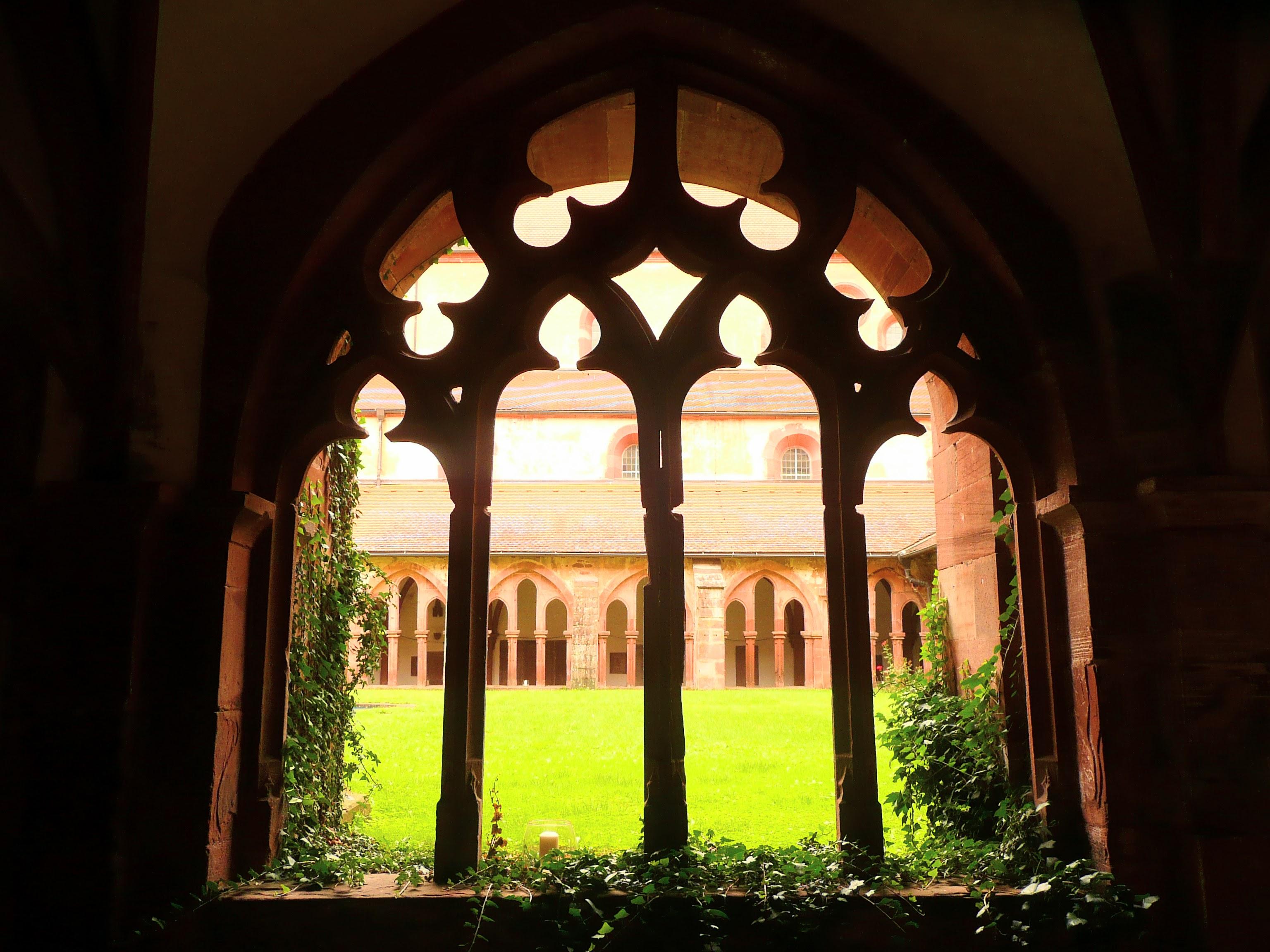 Das Kloster Bronnbach, später auch Schloss Bronnbach, ist eine 1151 gegründete ehemalige Zisterzienser-Abtei. Das Bild zeigt den Blick aus dem Kreuzgang in den Garten. Ranken ragen in den Kreuzgang und vermitteln einen romantischen Eindruck. Bronnbach 2016