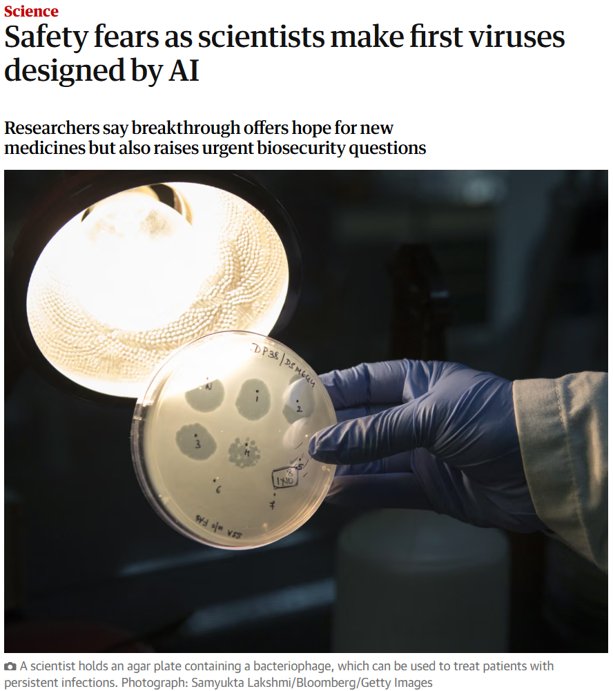 Science
Safety fears as scientists make first viruses designed by AI
Researchers say breakthrough offers hope for new medicines but also raises urgent biosecurity questions

A scientist holds an agar plate containing a bacteriophage, which can be used to treat patients with persistent infections. Photograph: Samyukta Lakshmi/Bloomberg/Getty Images