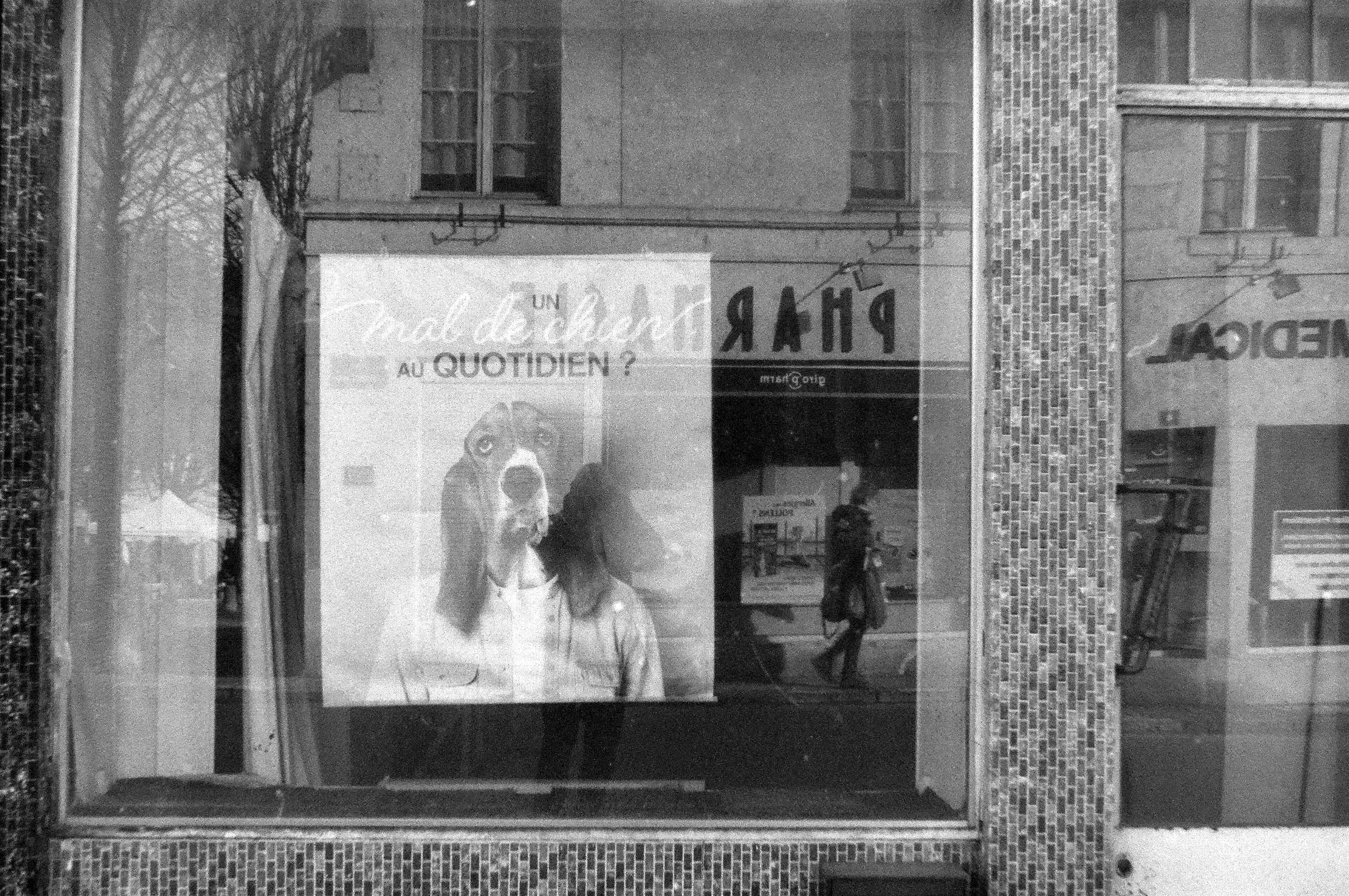 en noir et blanc, une vitrine avec une affiche representant un basset hound