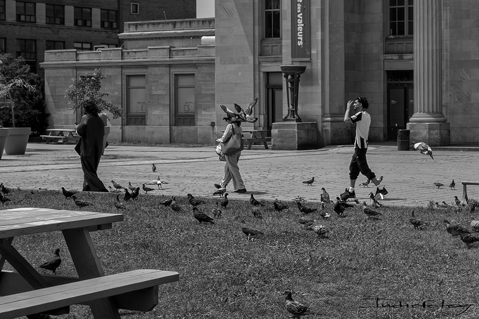 Three people walking along a public building surrounded, by pigeons.