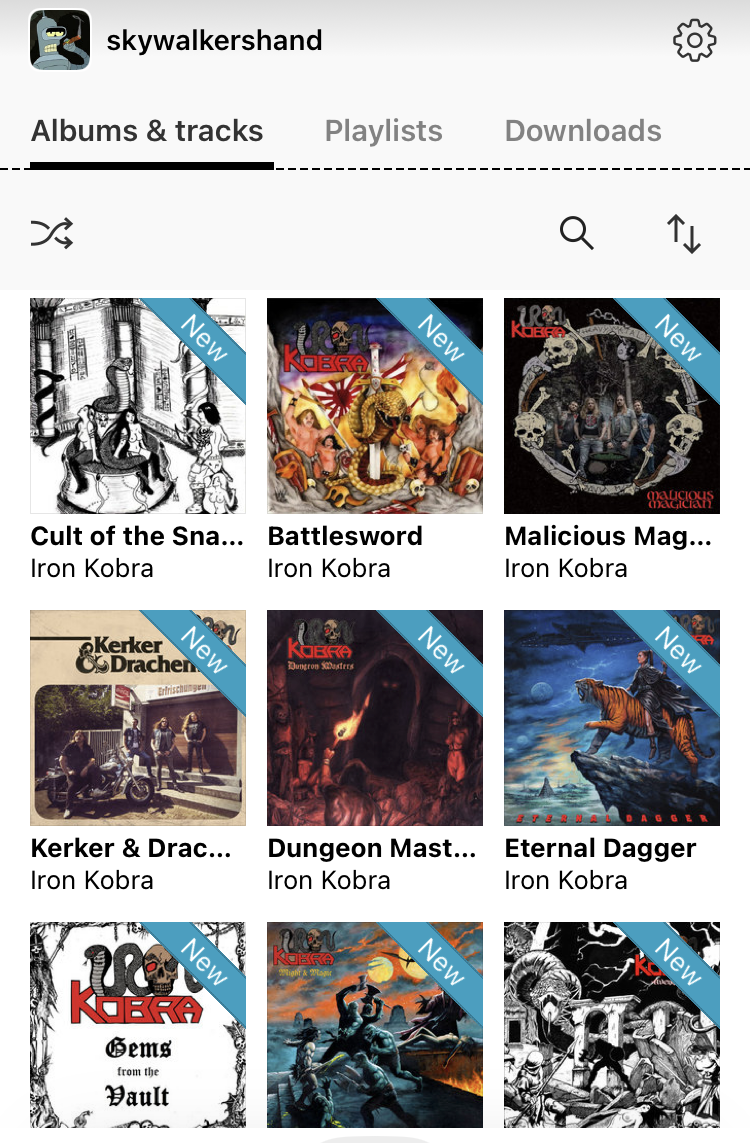 Bandcamp Discographie der Band „Iron Kobra“.