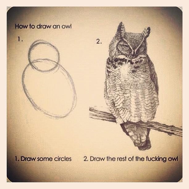 How to draw an owl (step by step)