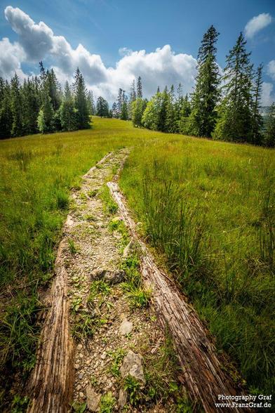 This image captures a serene hiking trail winding through a lush, green meadow under a bright blue sky dotted with fluffy white clouds. The path, made of dirt and small rocks, cuts through tall grass, inviting exploration. On either side, dense forests of tall evergreen trees frame the scene, their dark green foliage contrasting with the open, sunlit meadow. The perspective draws the viewer’s eye along the trail, creating a sense of depth and adventure. The vibrant colors—green grass, earthy to…