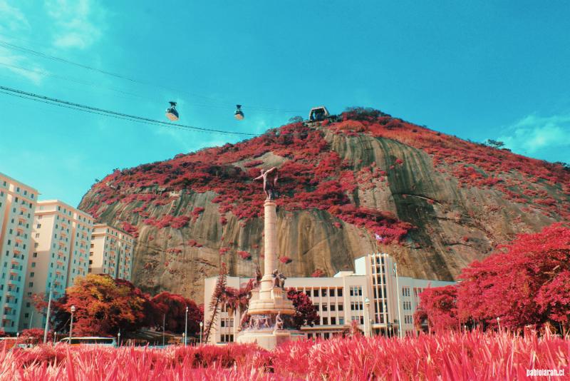 The Sugarloaf Mountain Cable Car as seen from the square (Praça General Tibúrcio), below with red foliage.