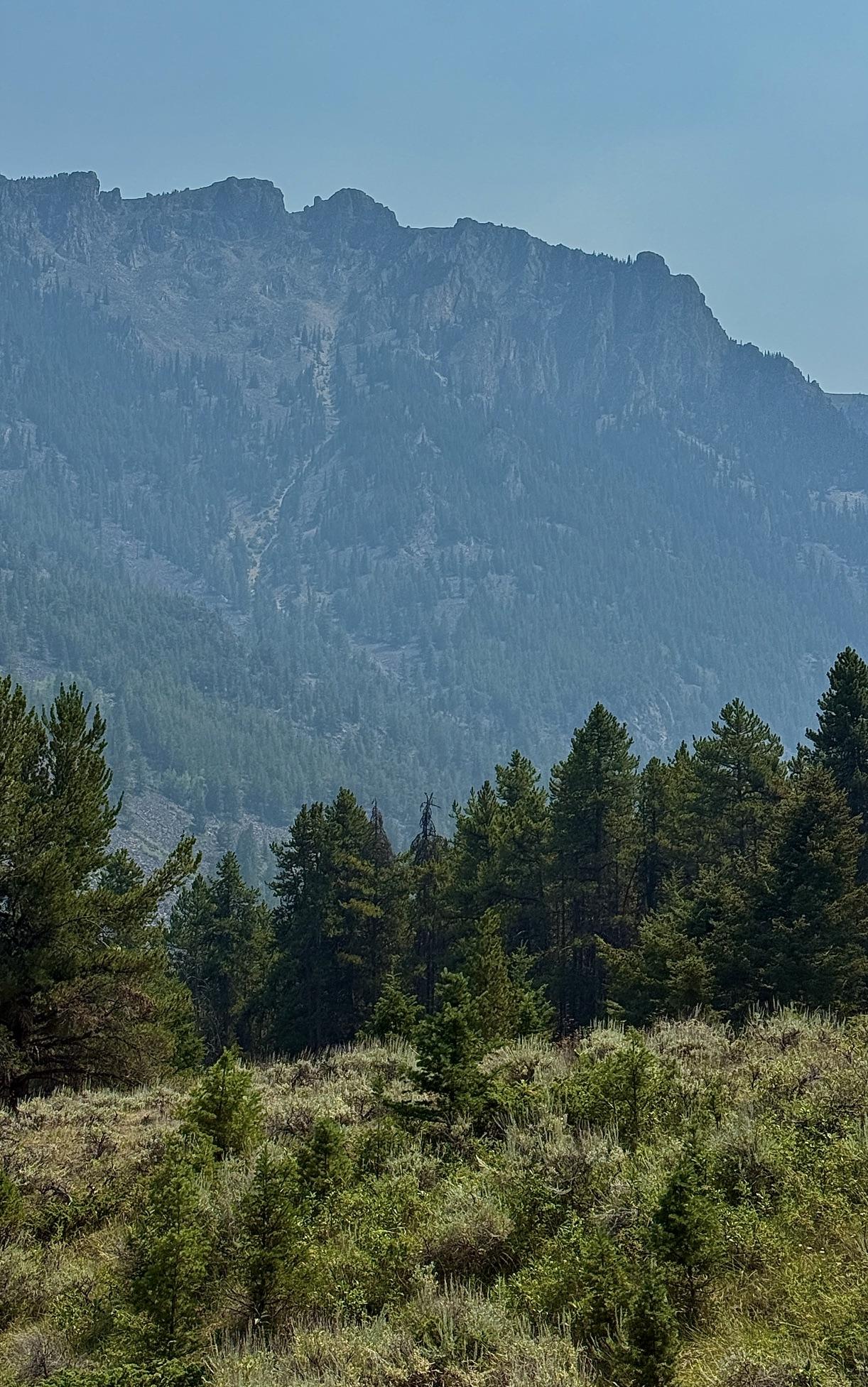 quite smoky looking up to Beartooth Plateau here in Rock Crk. Cyn