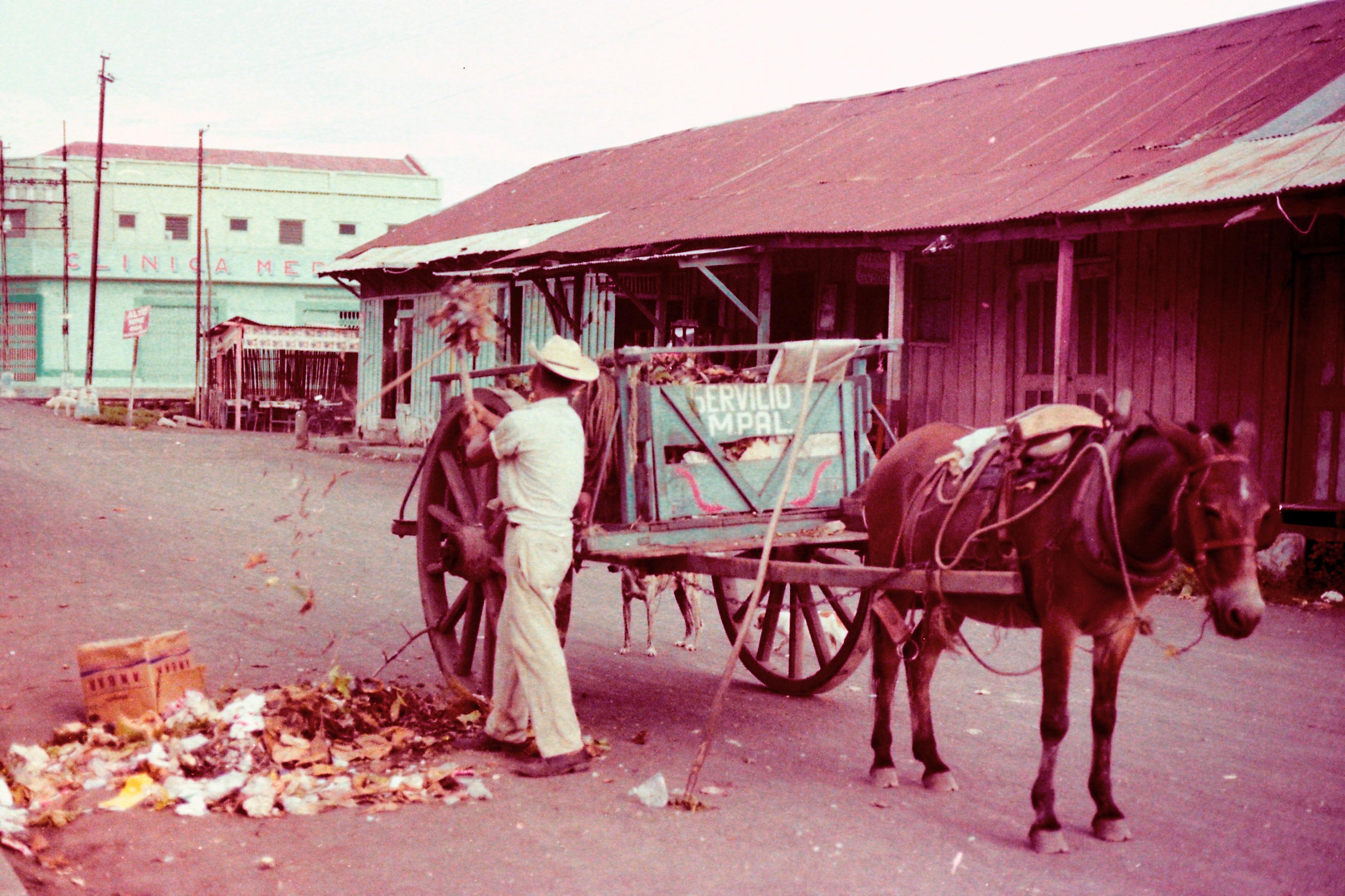 Ein Mann lädt auf der Straße zusammengekehrten Müll auf einen Pferdekarren. Im Hintergrund sind flache Gebäude mit Wellblechdächern.

ENGLISH TRANSLATION 

Street cleaning in Central America, 1978.

A man is loading rubbish he has swept up from the street onto a horse-drawn cart. In the background are low-rise buildings with corrugated iron roofs.

Many people complain about cars, their noise, particulate matter and exhaust fumes. Now just imagine, for a moment, if every car were a horse or a horse-drawn carriage. The clatter of hooves, the whinnying, the muck and the stench. A horse-drawn carriage takes up more parking space than a car.

Do you miss the good old days?