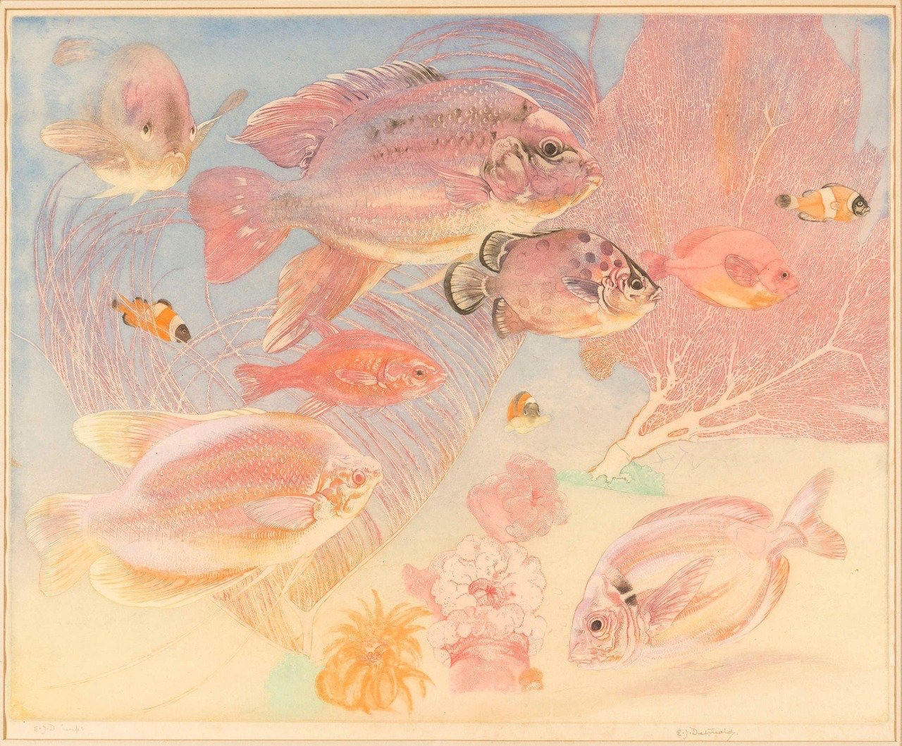 A vintage-style watercolor and ink illustration of various fish swimming among pink coral fans and sea anemones in an underwater setting with soft blue and beige tones.