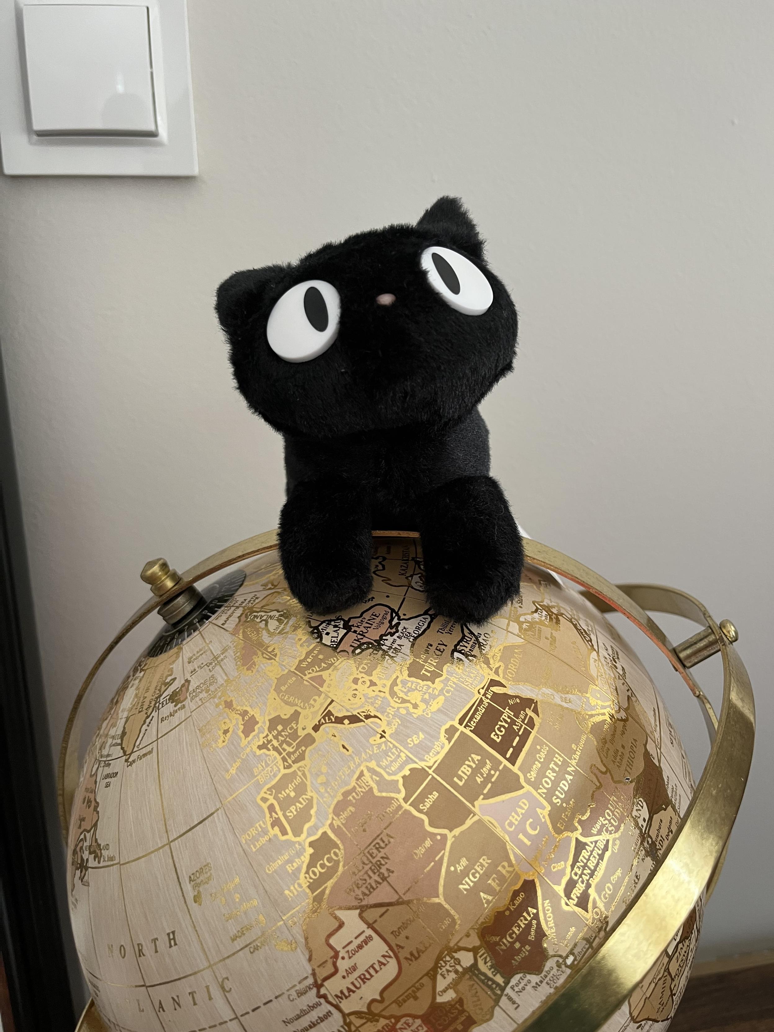 pluszowy kot Jiji na globusie