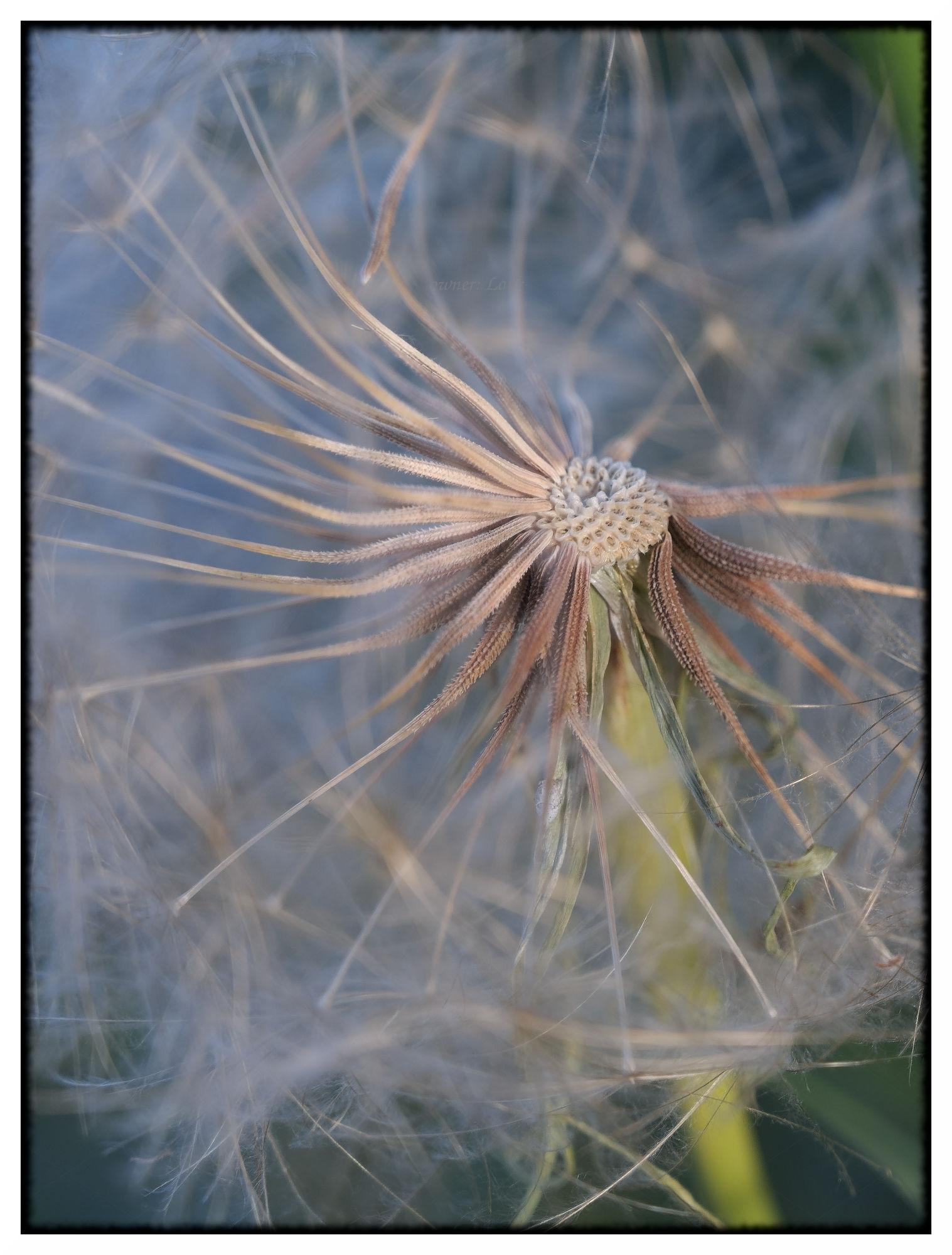 Nature, color, photo