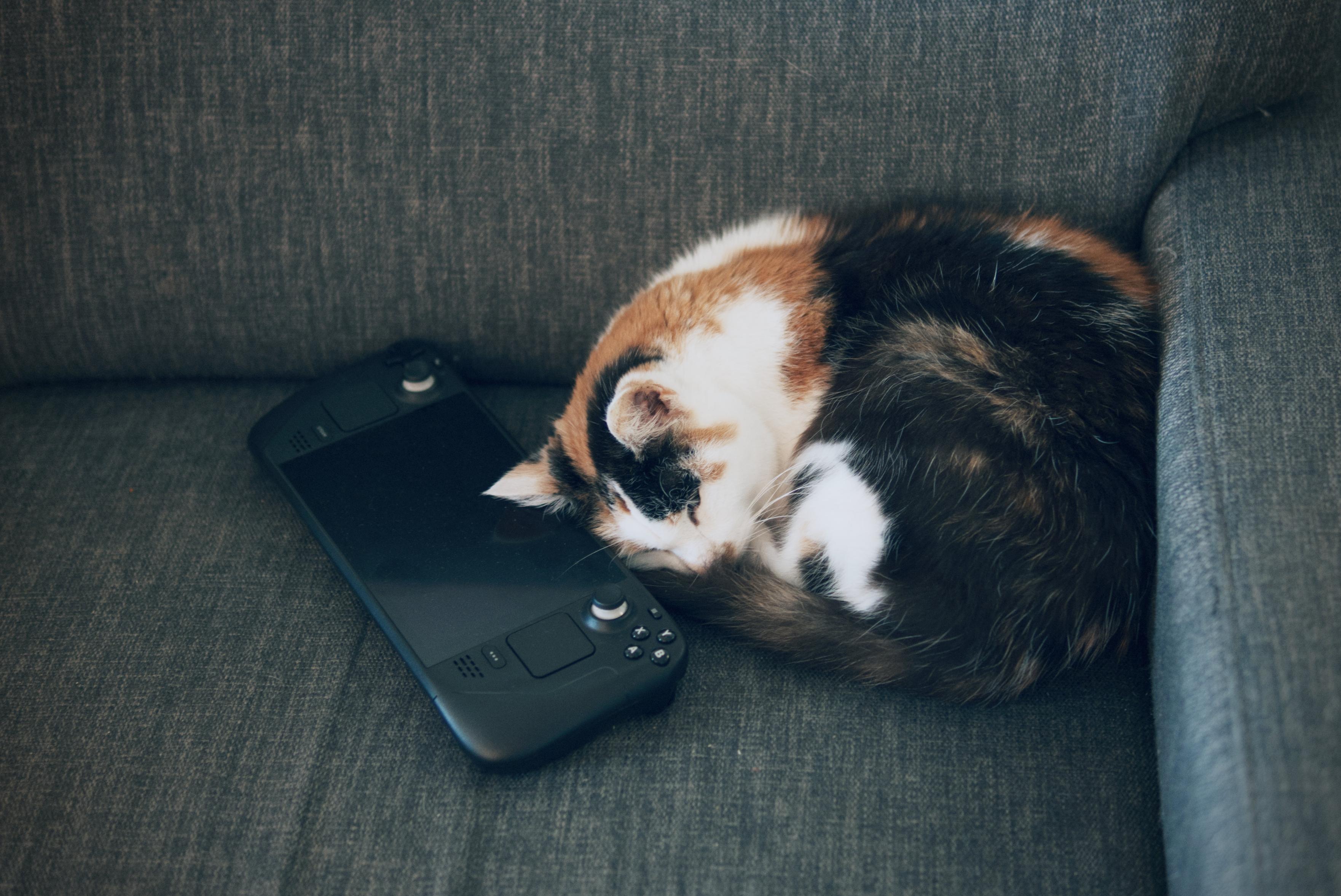 A picture of Lilith, a calico, rolled up on our couch, her head resting next to a Steam Deck.