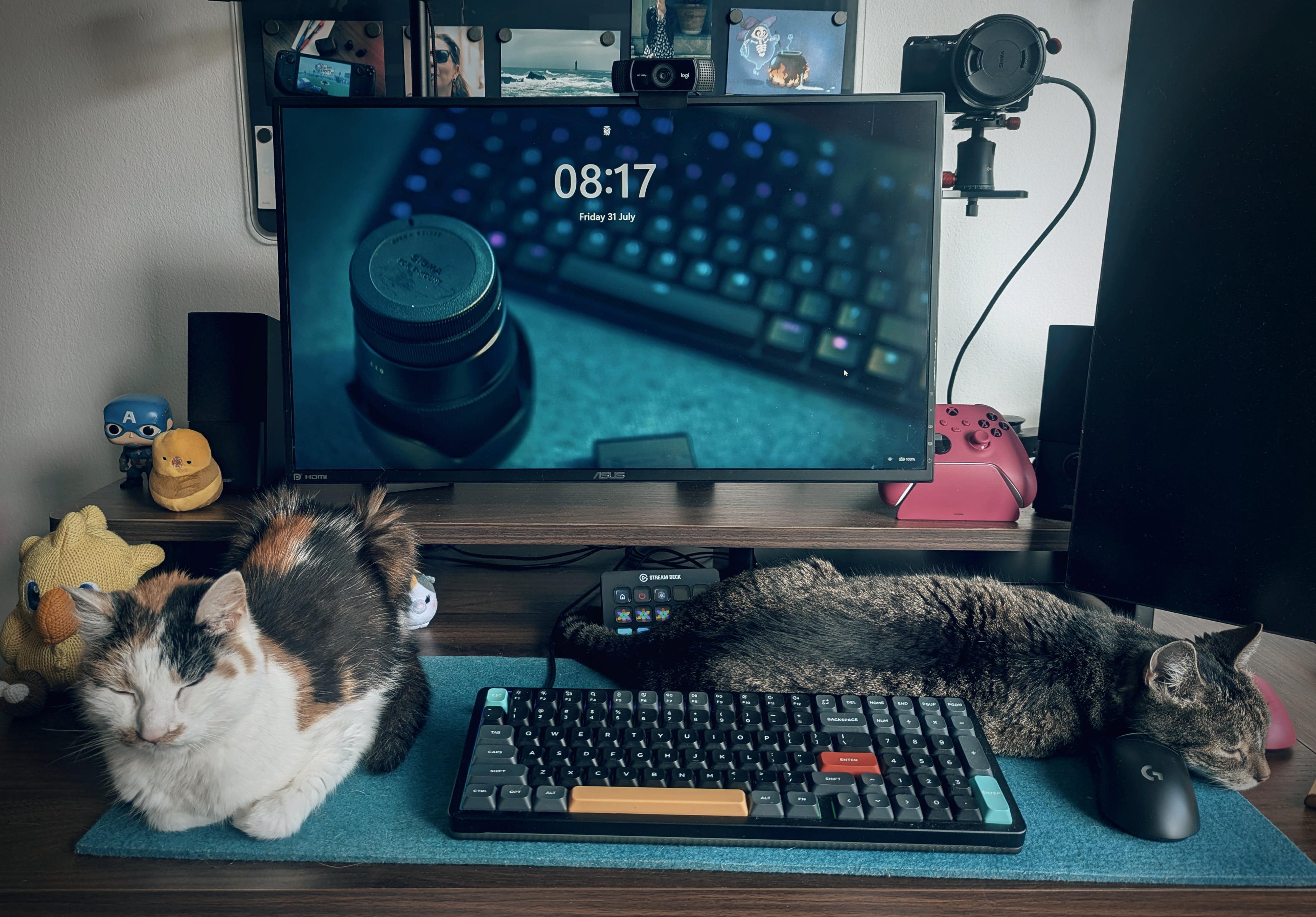A picture of my desk. Lilith, a calico, is sitting to the left of my keyboard and Selina, a Standard Issue Cat, is lying behind the keyboard...