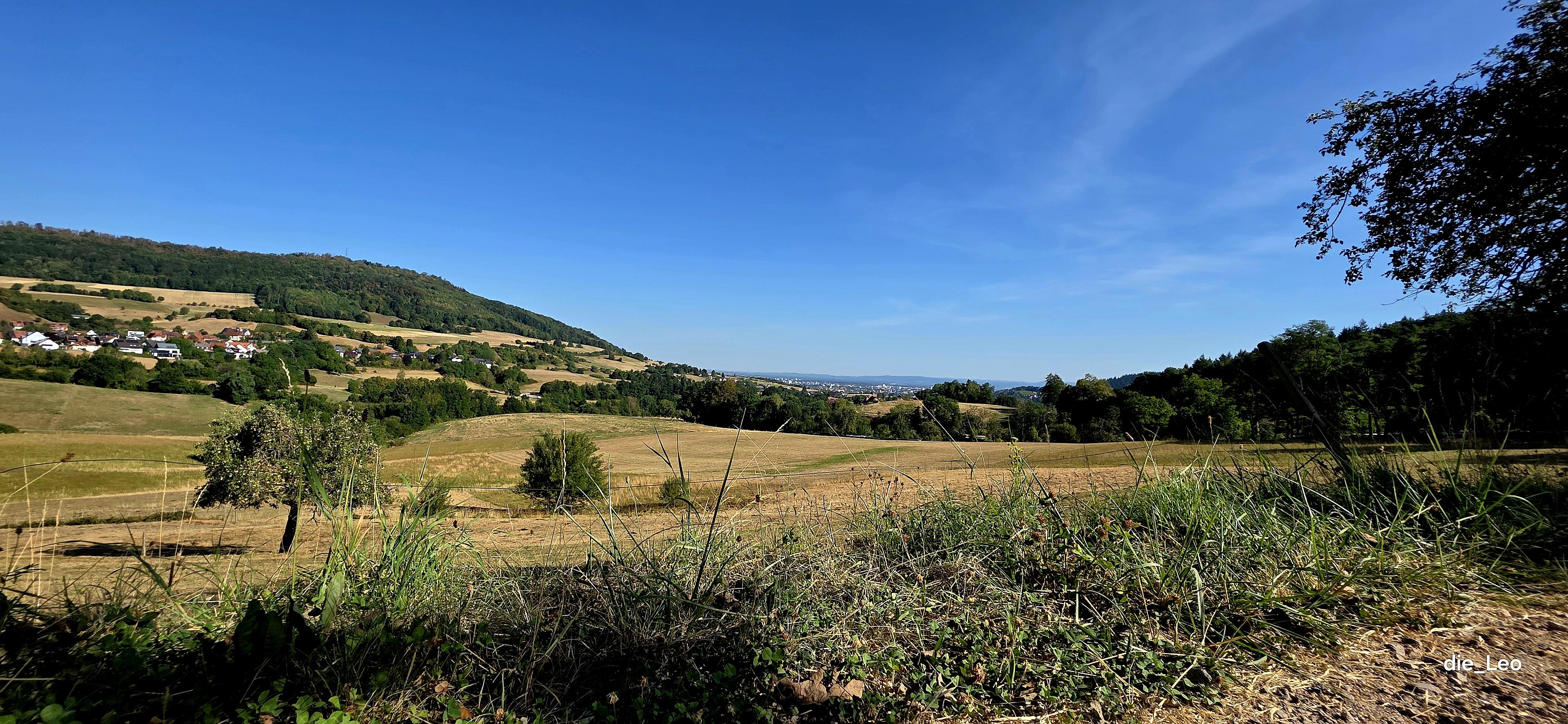 Ausblick über das Hexental bei Wittnau bis Freiburg im Breisgau