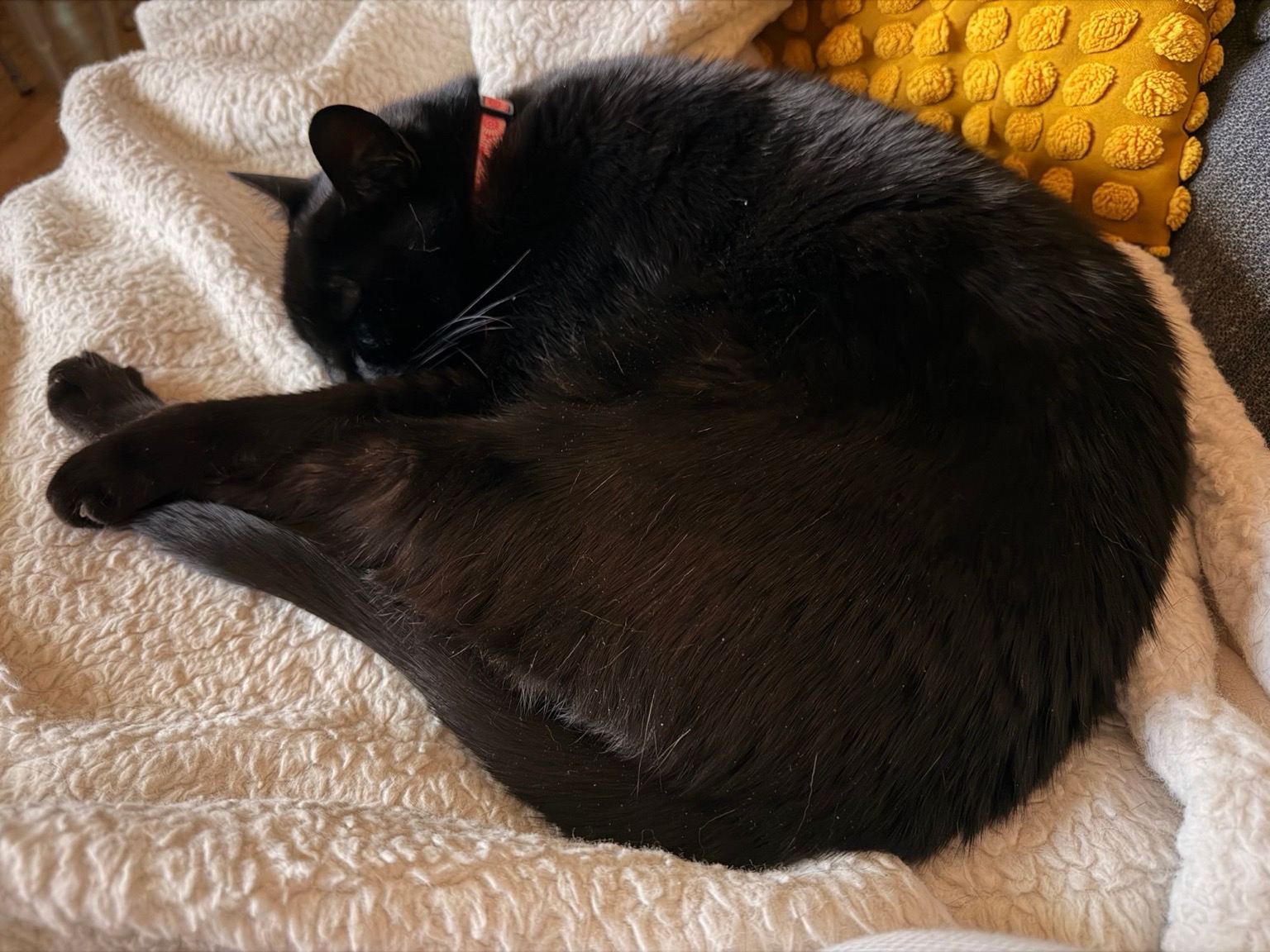 Posted media