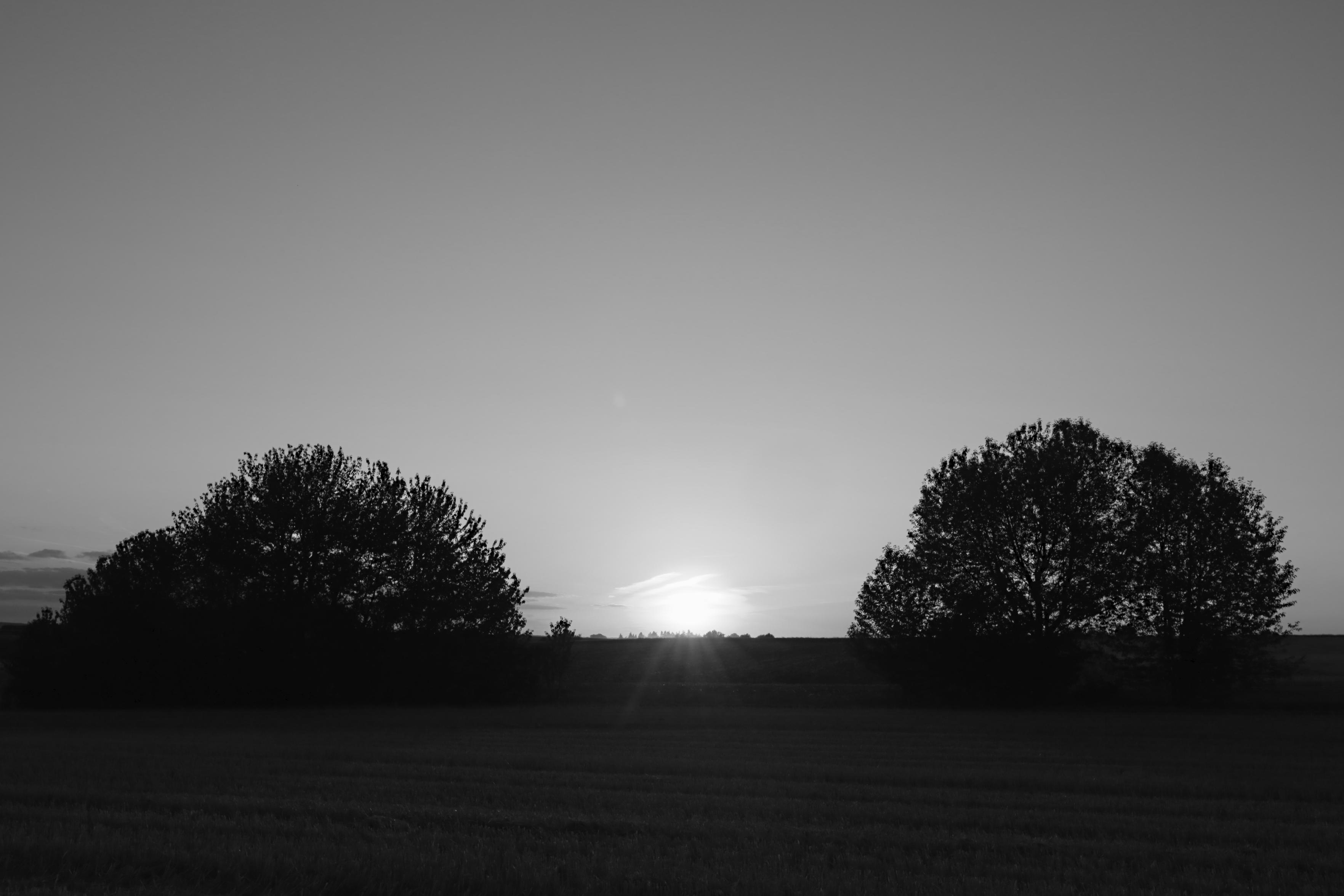 Schwarzweiss-Foto eines Sonnenunterganges, der genauso ein Sonnenaufgang sein könnte. Die Sonne steht in der Bildmitte kurz über dem Horizont. Sie wird beiderseits flankiert durch jeweils Baumgruppen, die bei dem Gegenlicht nur als Scherenschnitt zu sehen sind.