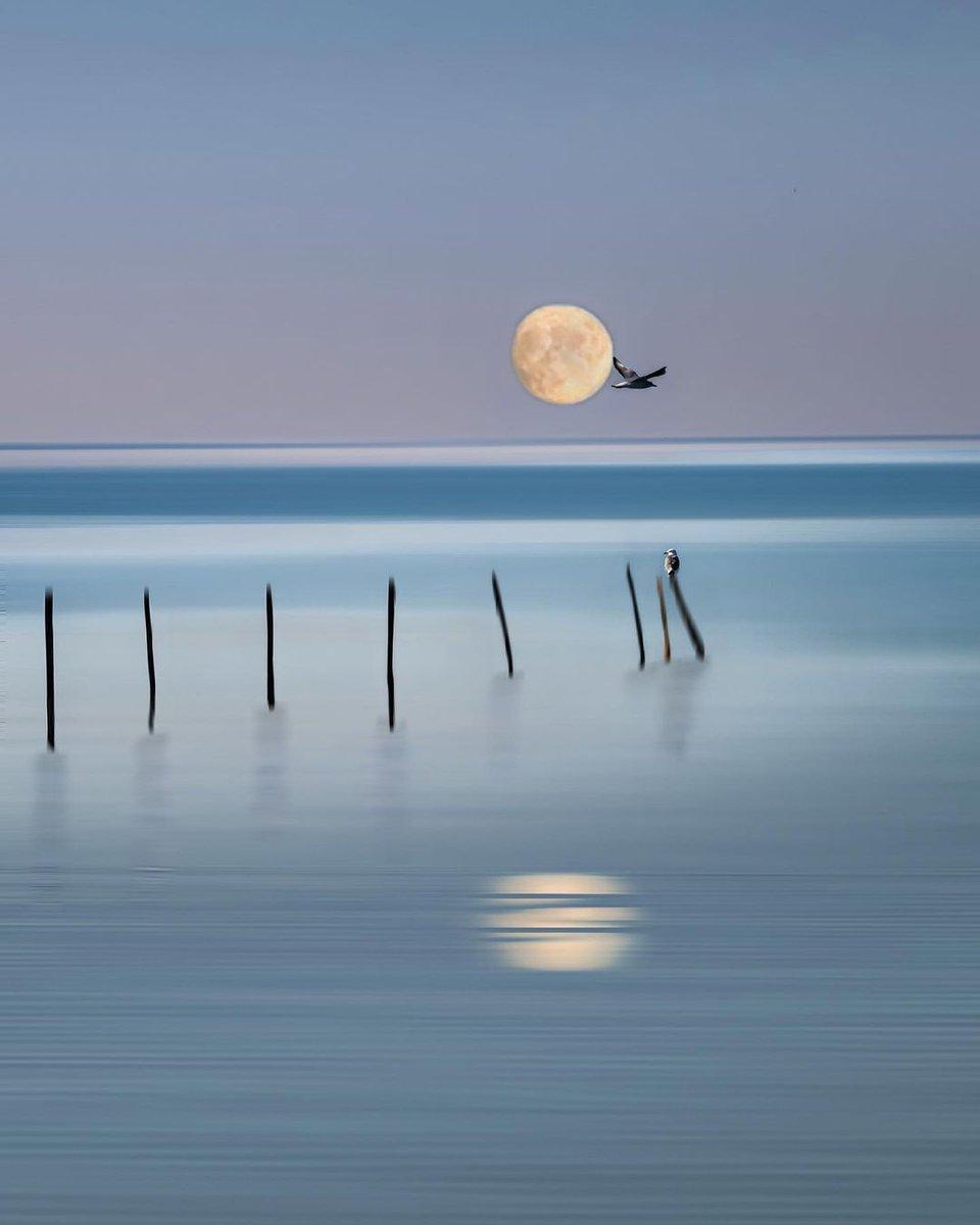 Seascape: eight black posts emerge from an expanse of various shades of pale blue; a small bird is perched on the last post on the right. Another, larger bird is flying towards the east. The pale full moon, low on the horizon, is reflected in the sea. Photo by Laetitia Freling.