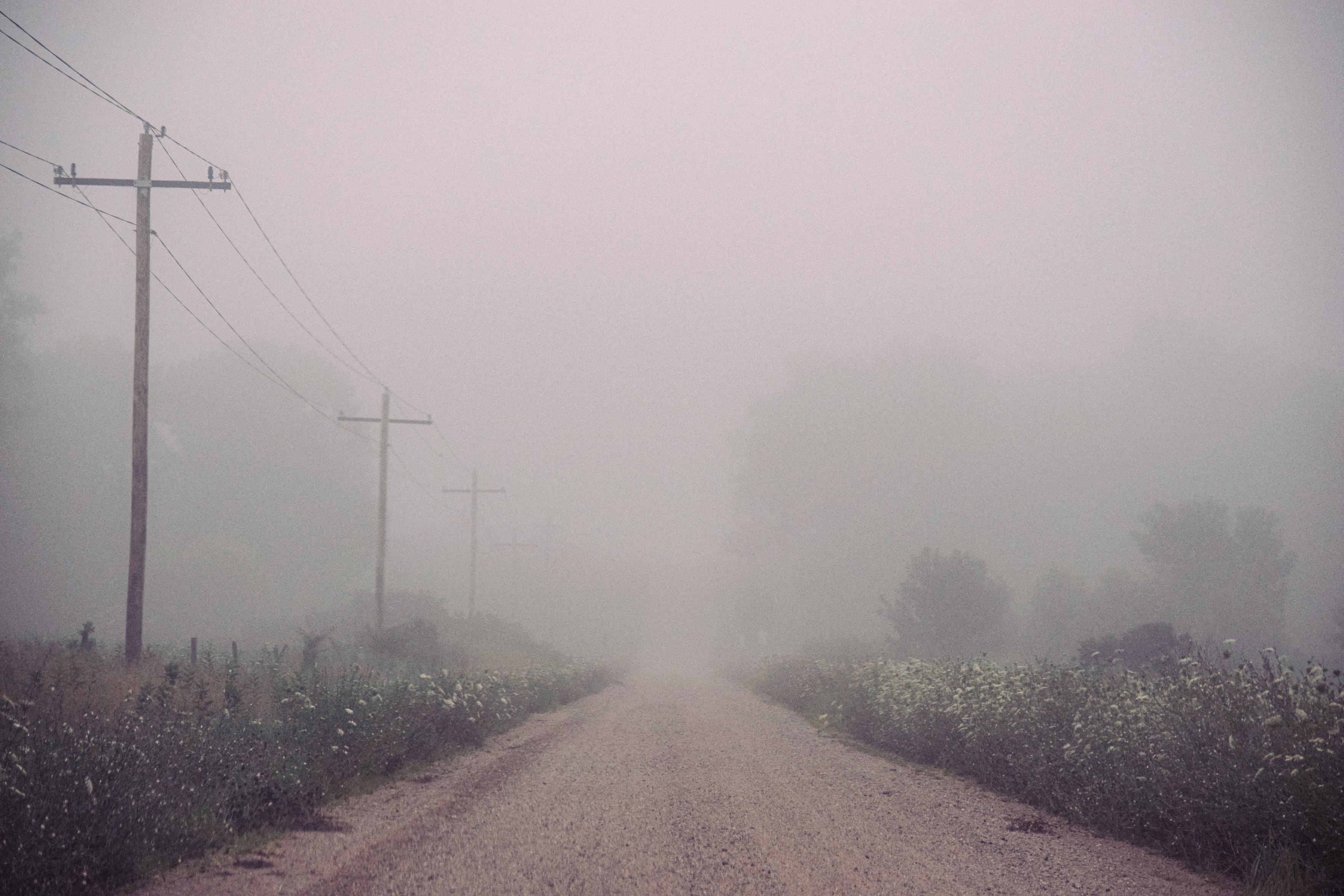 A foggy rural road flanked by overgrown grass and utility poles disappears into thick mist. The scene feels serene and mysterious with muted colors.