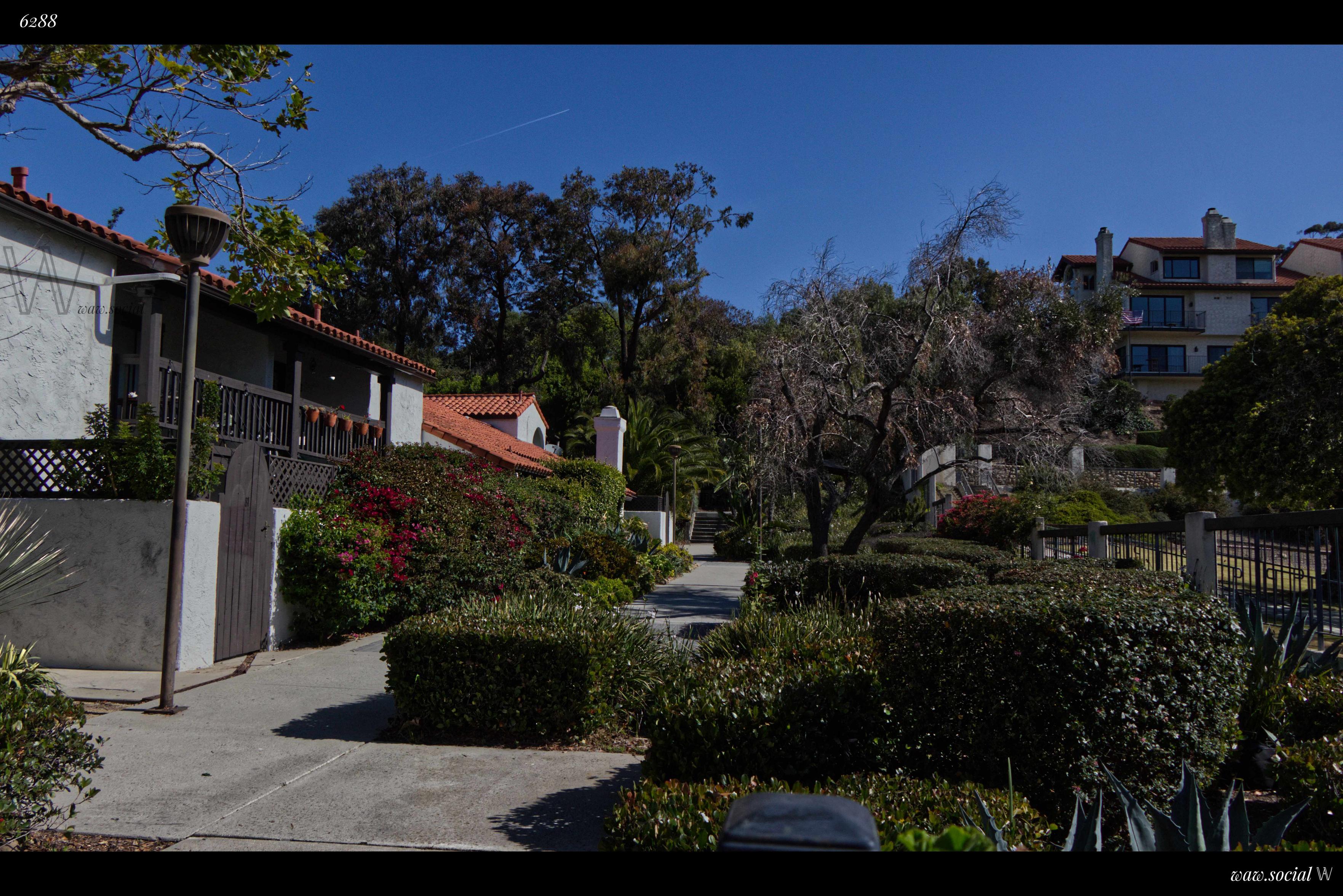 A color photo of a neighborhood in the city and county seat of Ventura, California.